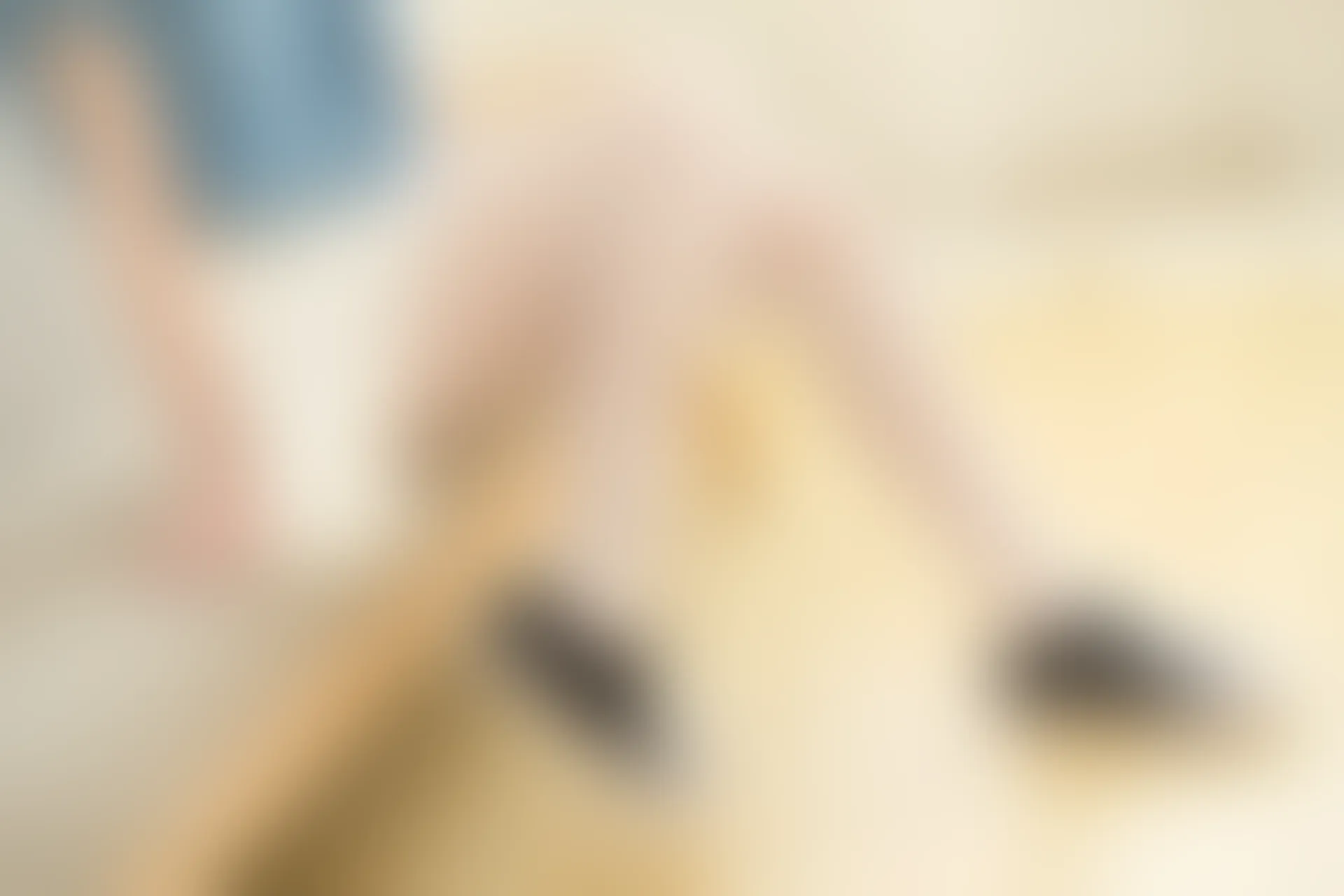 轻兰映画 Blue and White 白丝美腿双马尾[129P-698.7M]Blue and White, 可爱, 白丝, 美腿, 美足, 轻兰映画