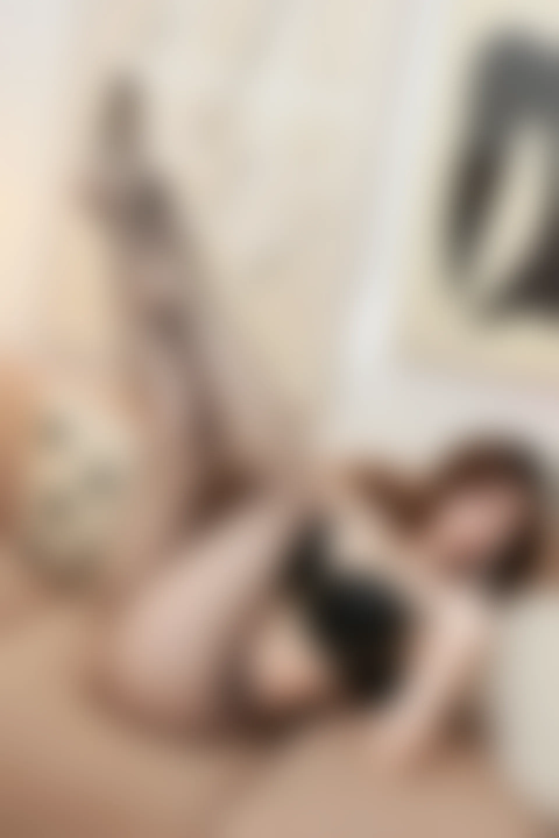 XIUREN秀人网 2023.12.13 NO.7801 月野兔美妞[82+1P／841MB]