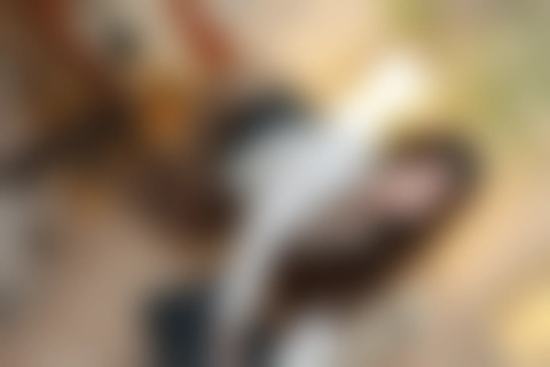 XIUREN秀人网 2023.12.13 NO.7801 月野兔美妞[82+1P／841MB]