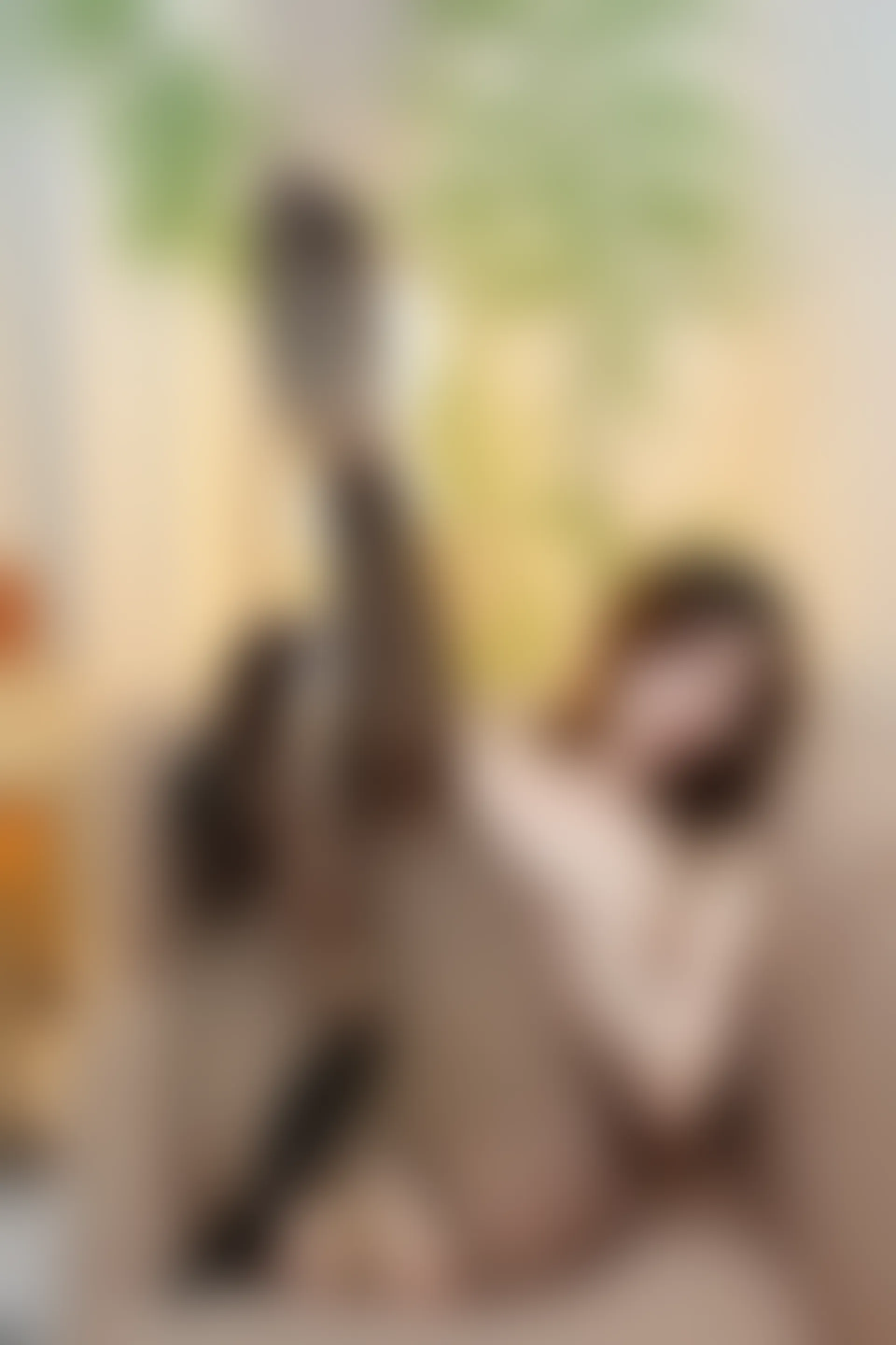 XIUREN秀人网 2023.12.13 NO.7801 月野兔美妞[82+1P／841MB]