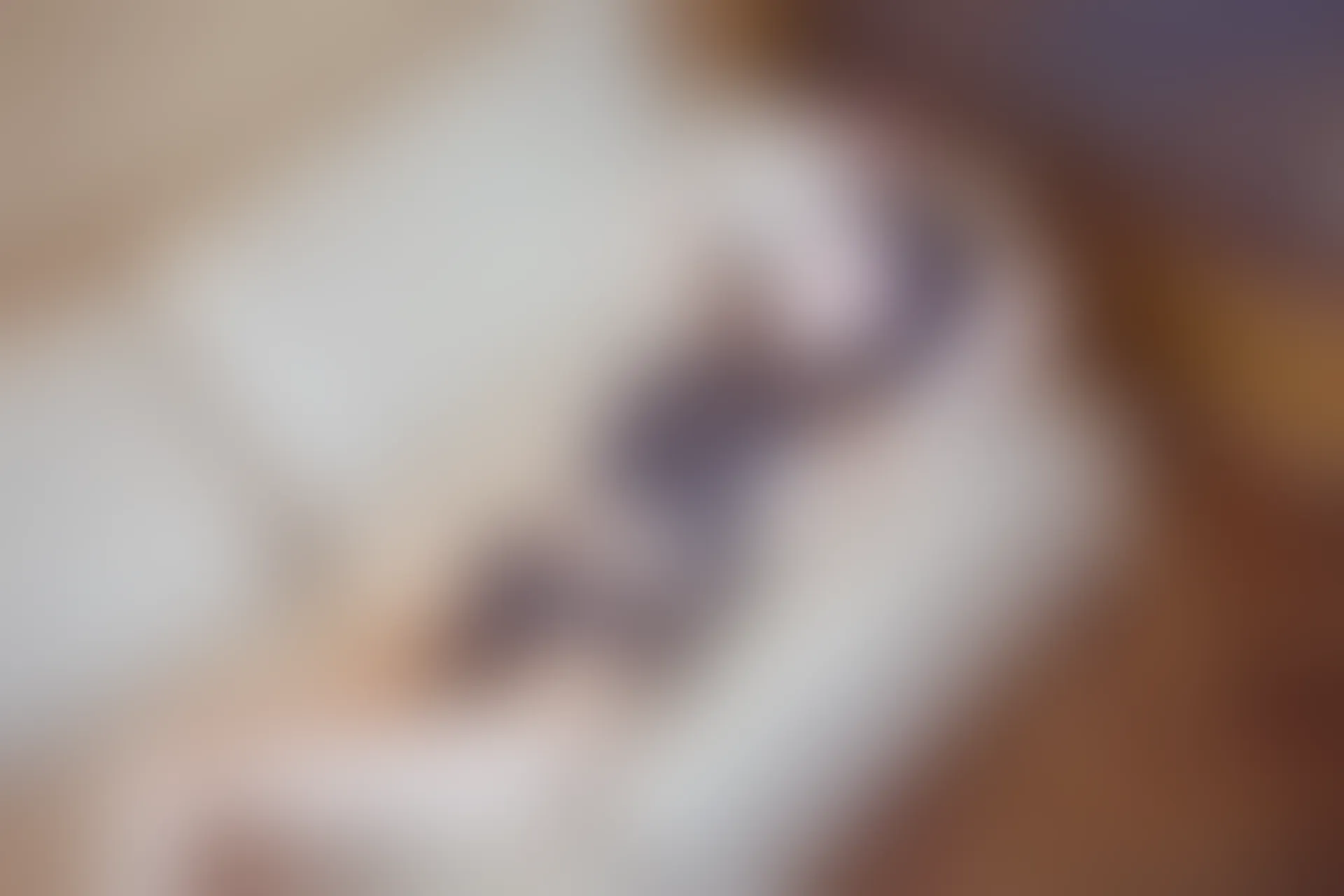 XiuRen秀人网 2014.04.03 No.121 Kitty星辰 [60P252MB]