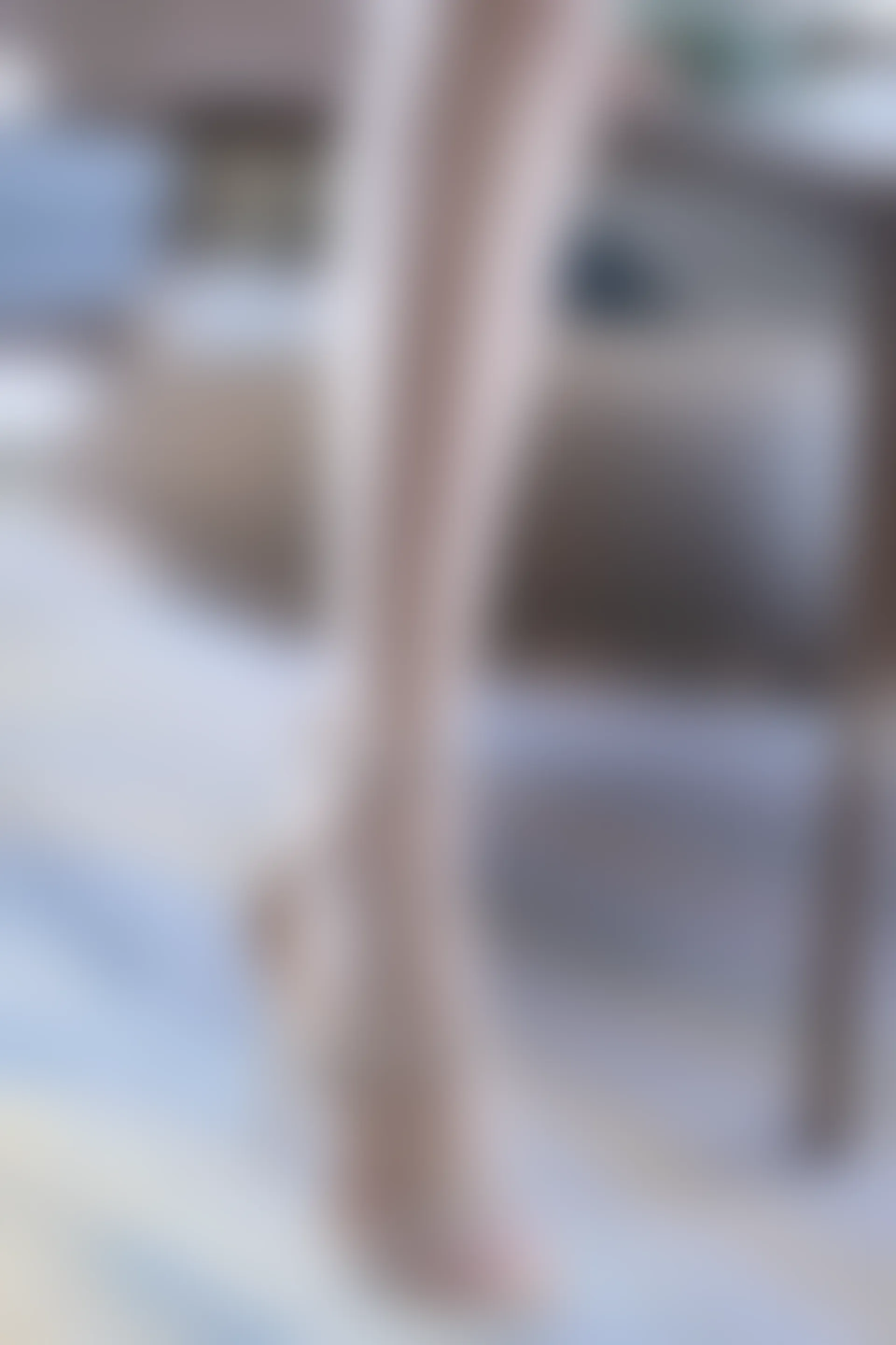 XiuRen秀人网 2021.12.28 No.4391 徐安安 江浙沪旅拍[64+1P 505MB]