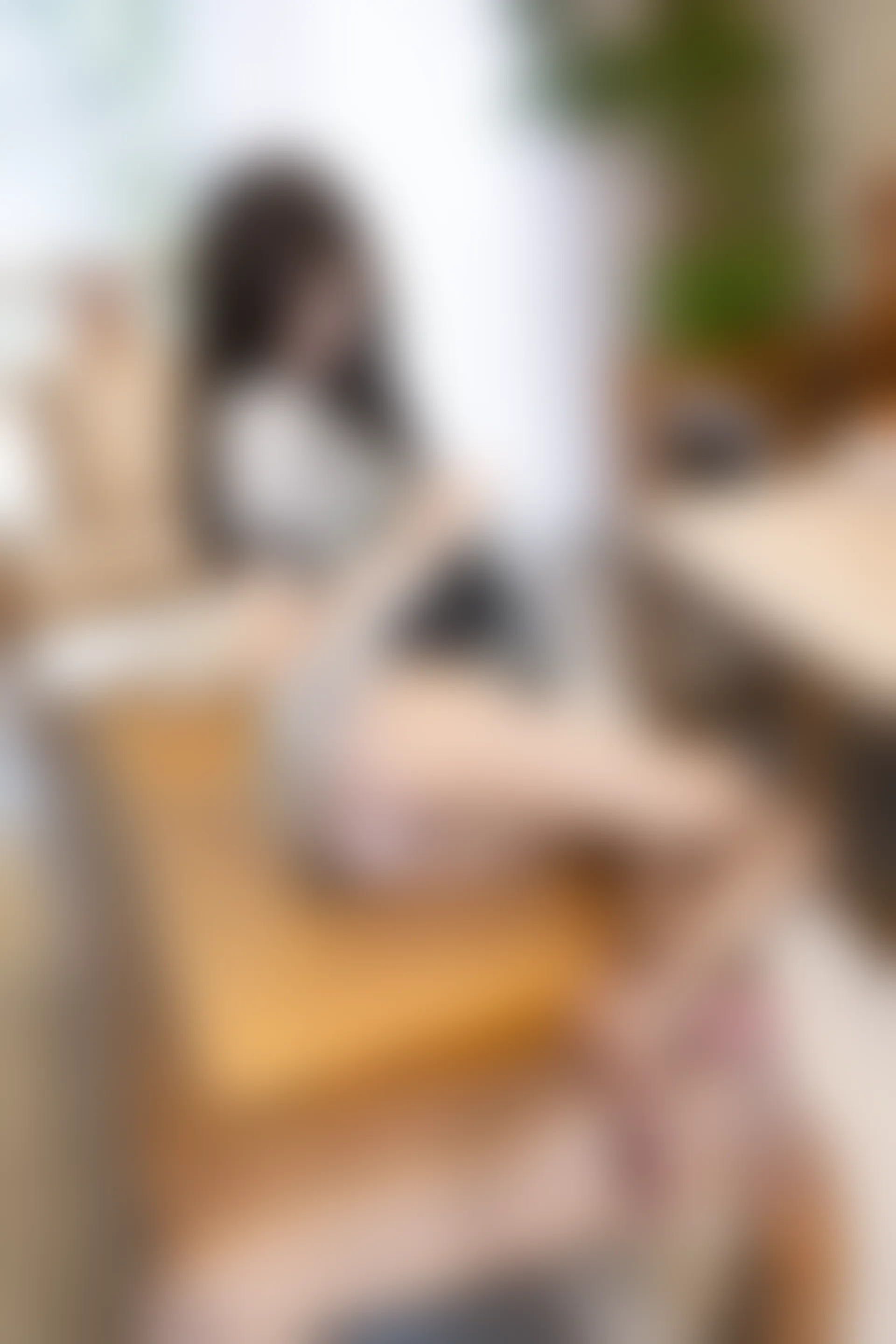 XIUREN秀人网 2023.09.01 NO.7320 程程程-[83+1P／685MB]