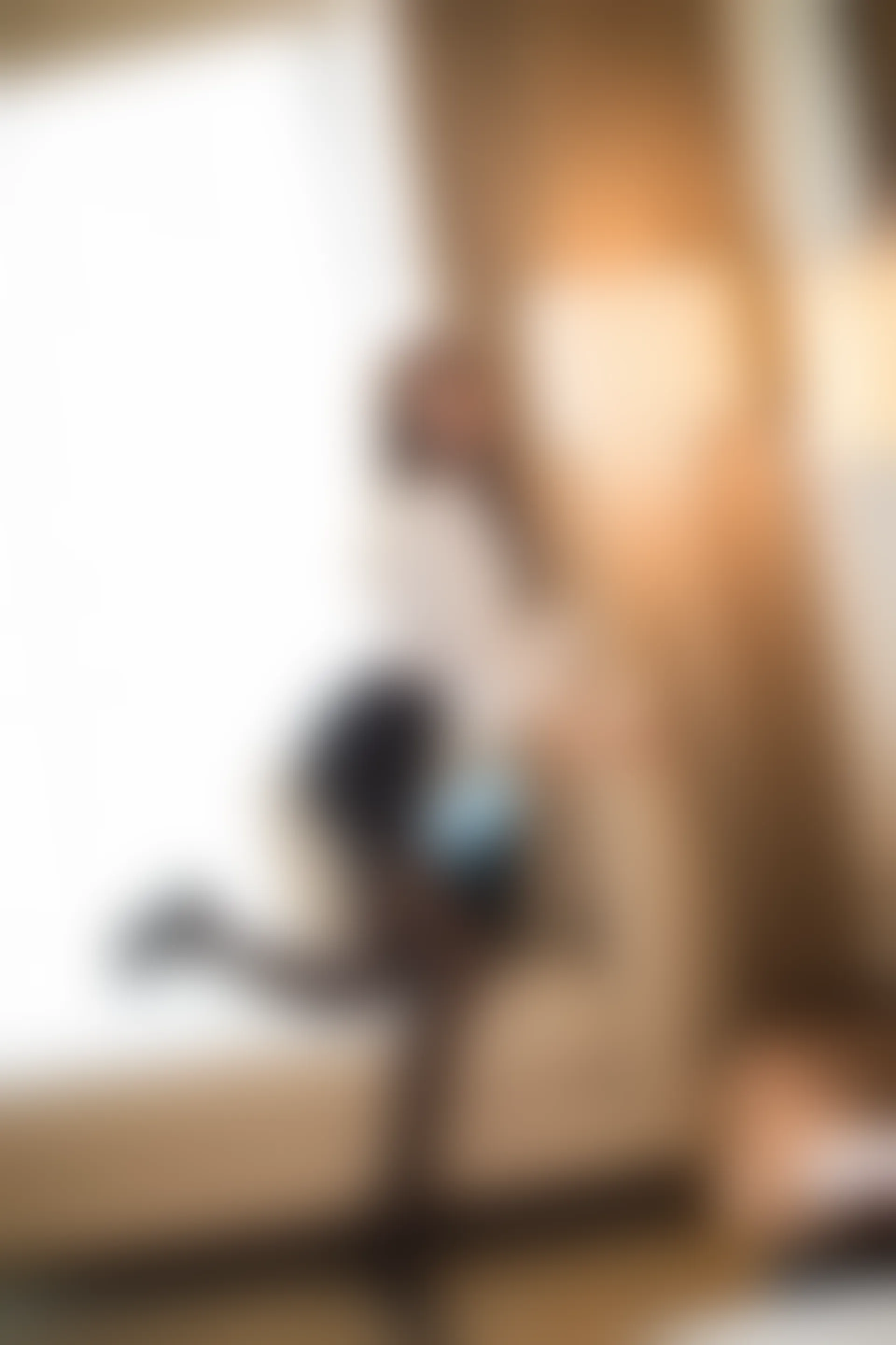 XiuRen秀人网 2018.12.26 No.1290 carry[66+1P138M]