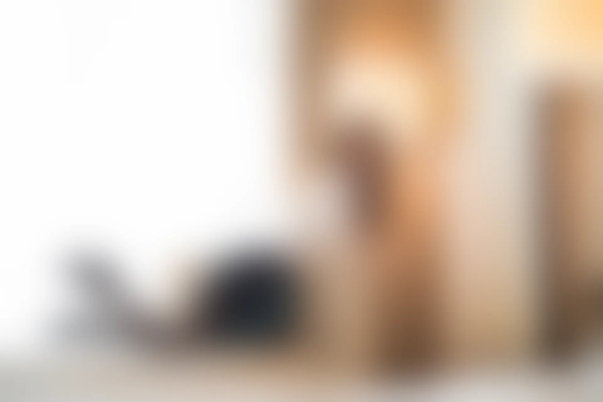 XiuRen秀人网 2018.12.26 No.1290 carry[66+1P138M]