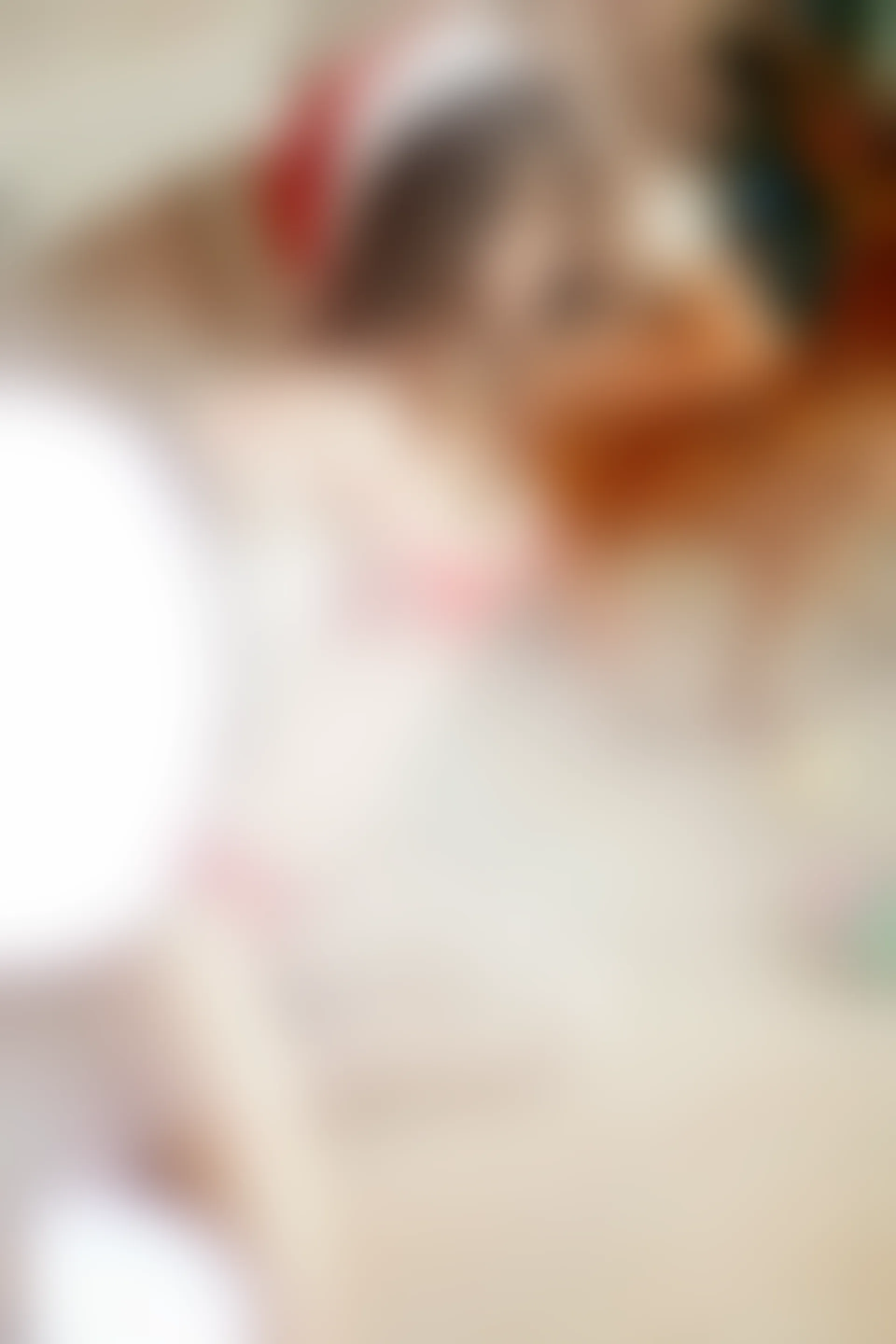 XiuRen秀人网 2014.12.24 No.259 孔一红 [88P303M]