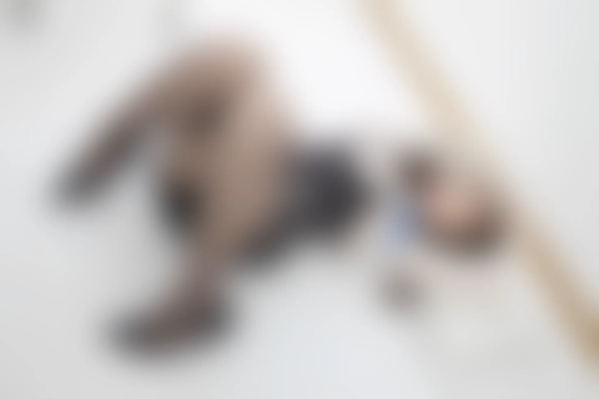 紧急企划 C-001 [66P-539M] 古川kaguraOL, 制服, 古川kagura, 紧急企划, 美腿, 美足, 黑丝