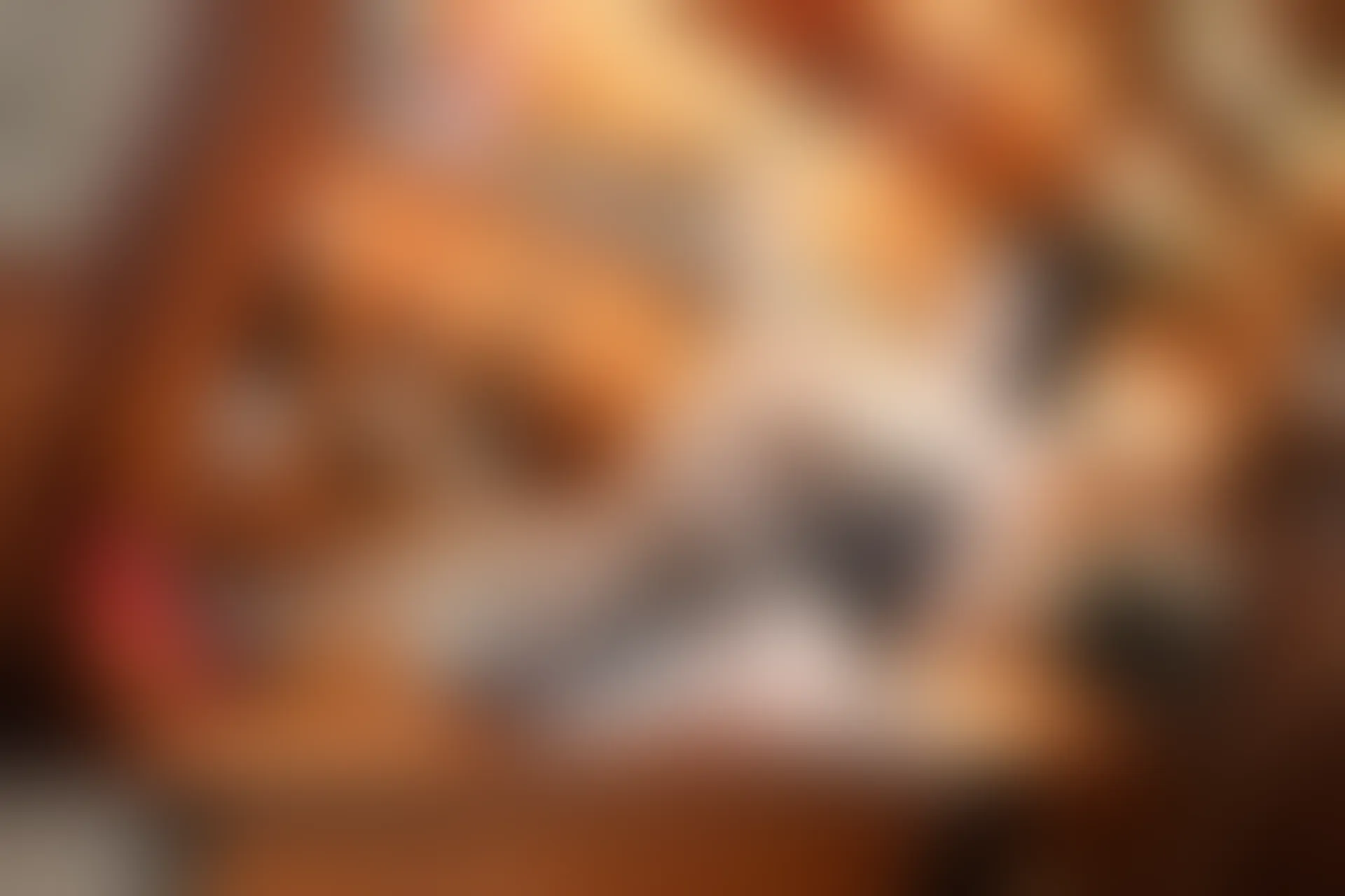 XIUREN秀人网 2024.03.01 NO.8169 杨晨晨Yome[90+1P／982MB]