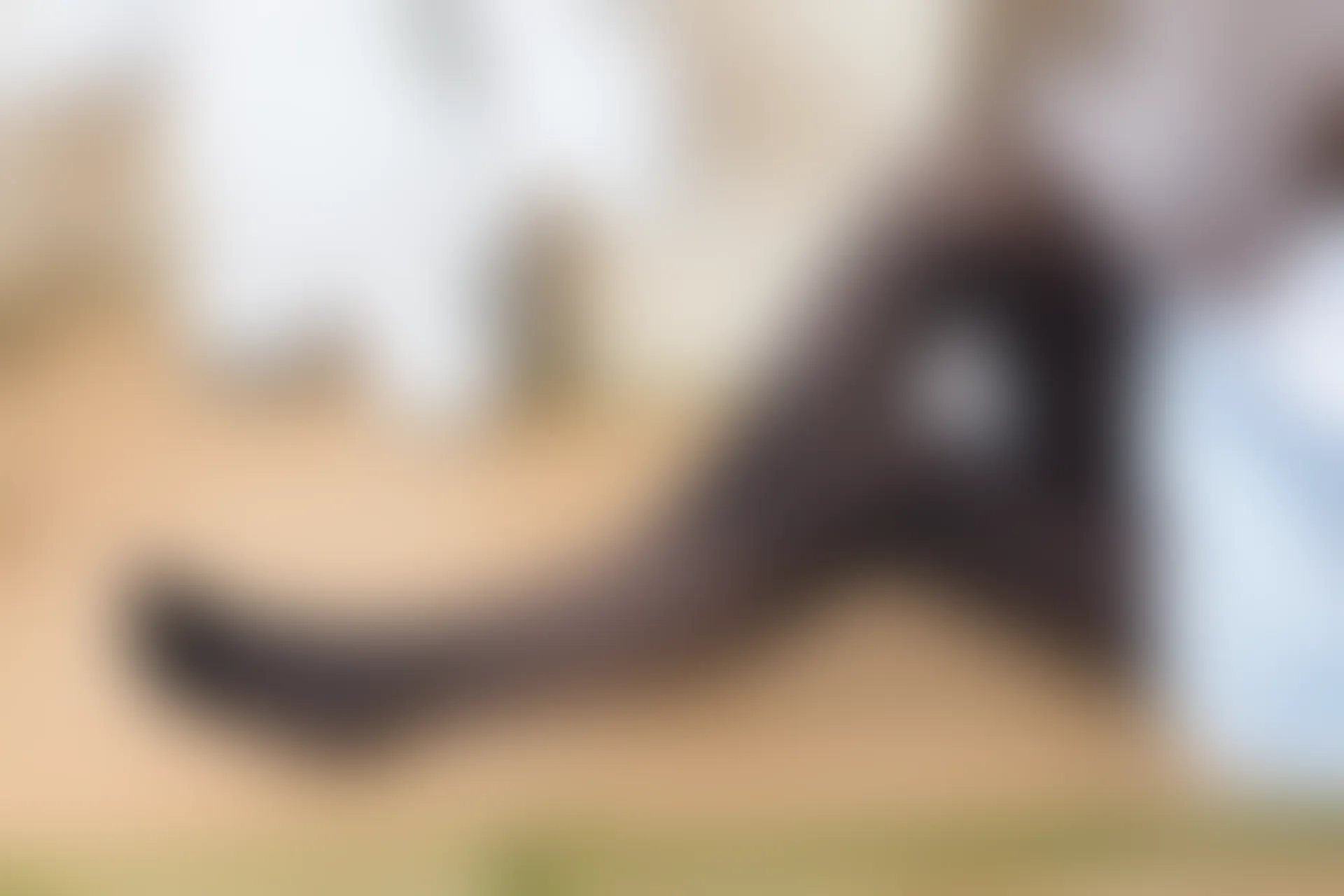 森萝财团 BETA-010 [61P-452M]美腿, 黑丝