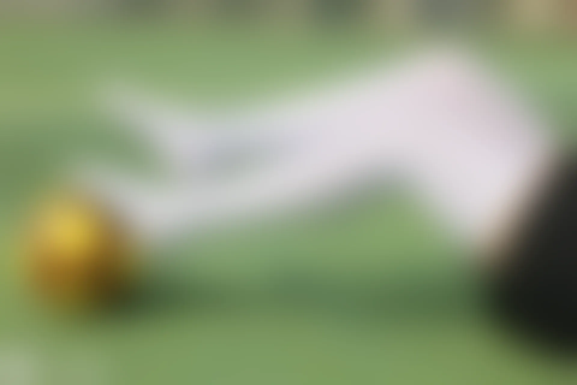 D55.008 足球和白丝 [40P-598MB]