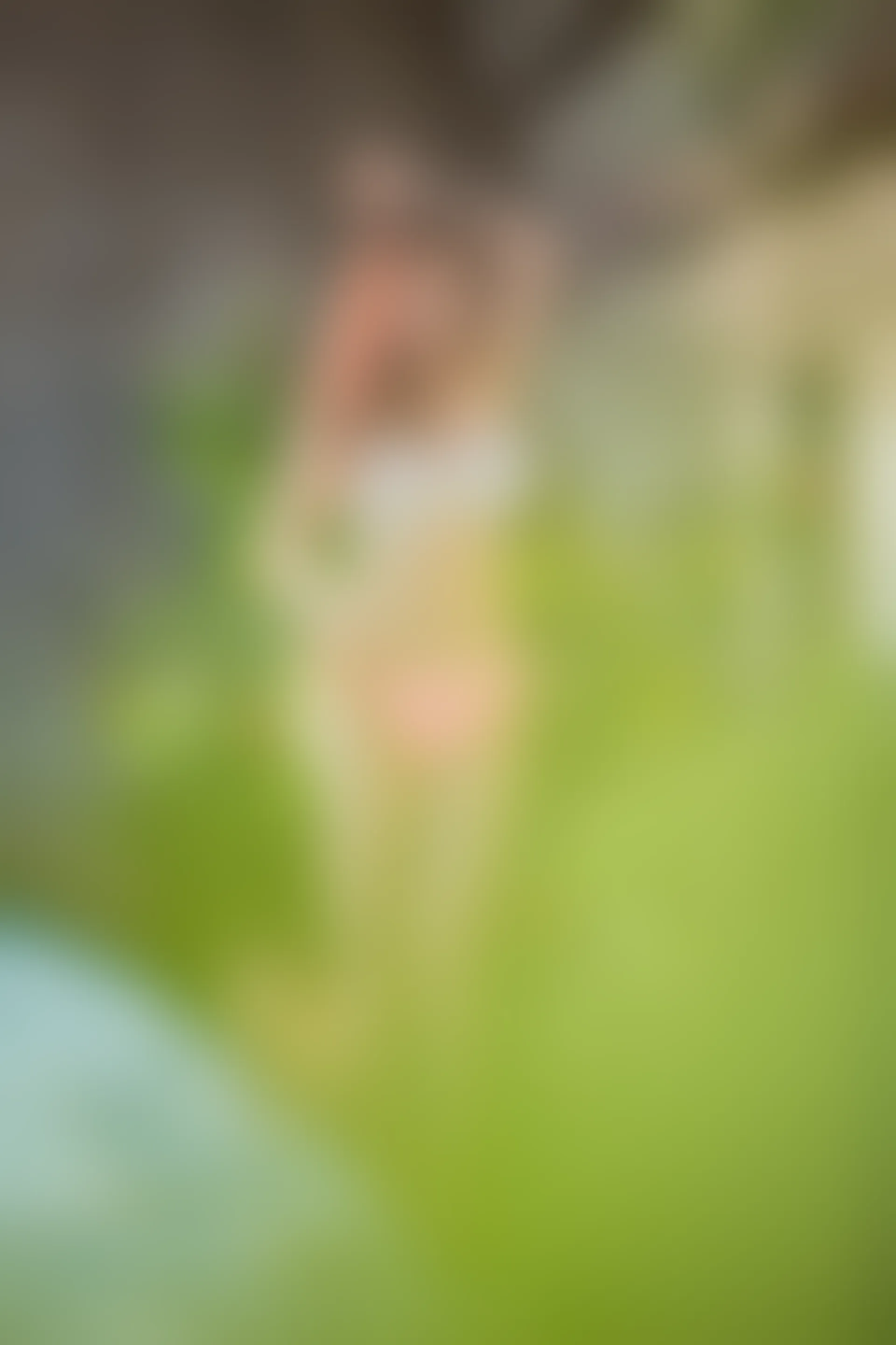 XiuRen秀人网 2018.02.05 No.924 西希白兔[49+1P153M]