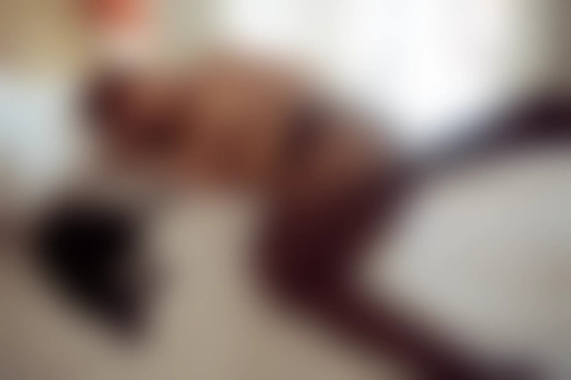 XiuRen秀人网 2019.08.09 No.1606 黄楽然 [56+1P]