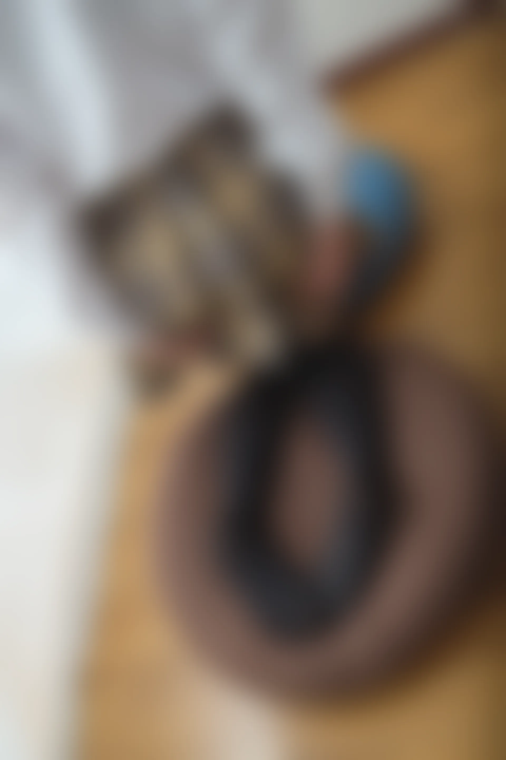 喵写真 R15-005 [80P1V-969M]可爱, 喵写真, 学生装, 美腿, 黑丝