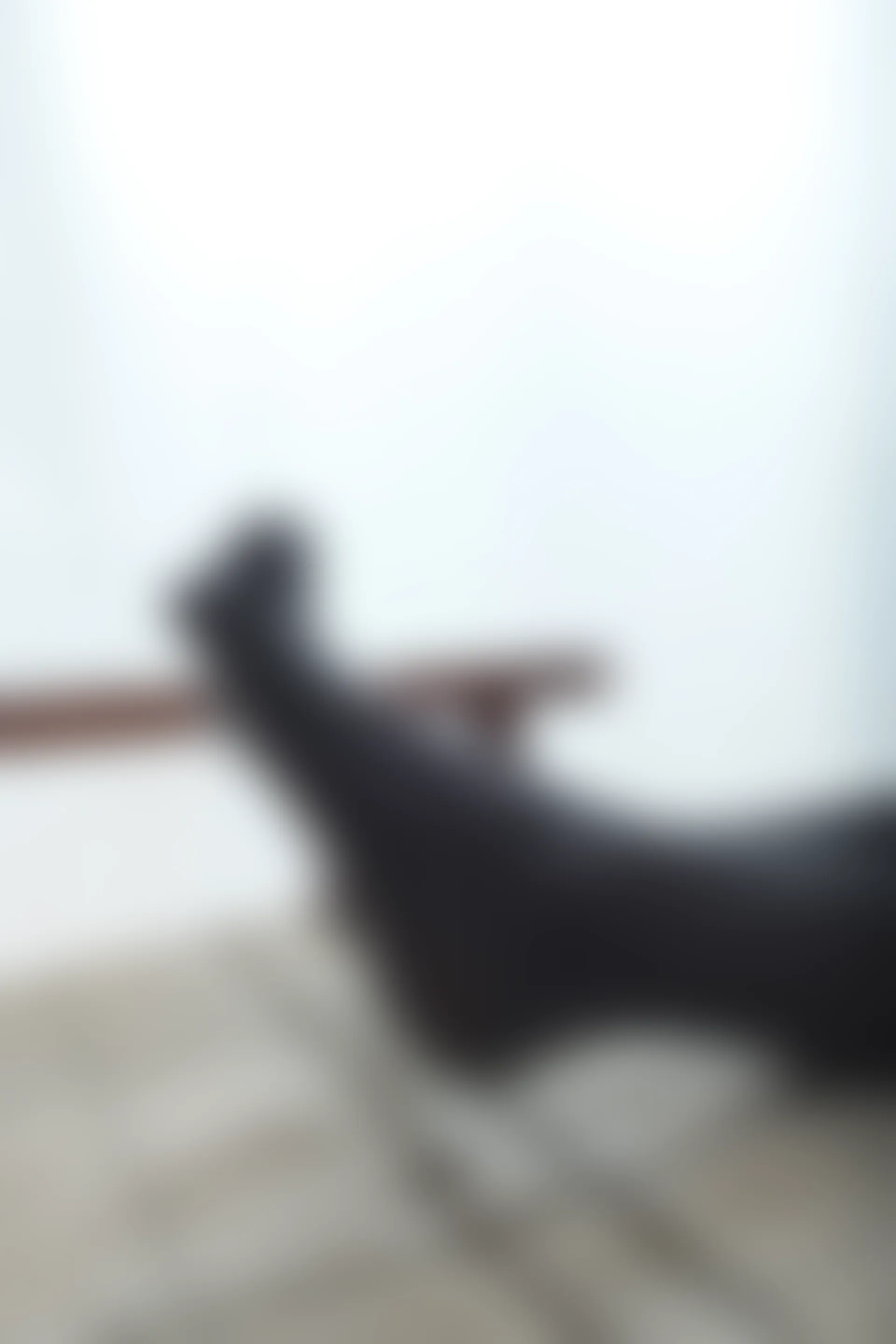 喵写真 R15-005 [80P1V-969M]可爱, 喵写真, 学生装, 美腿, 黑丝