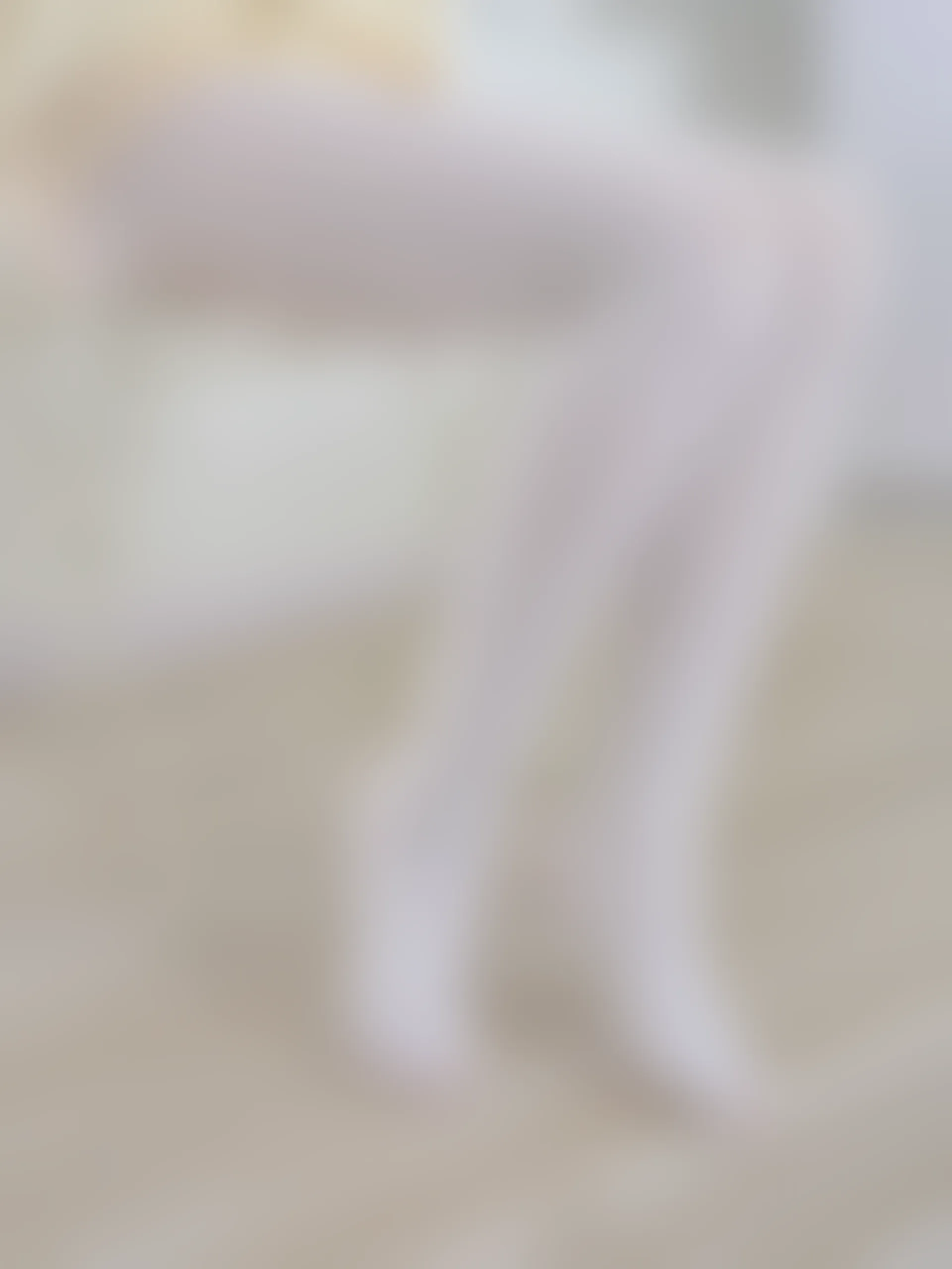 森萝财团 雨云-04E 4K 白丝双马尾卫衣+女仆装 [108P1V-6.64GB]