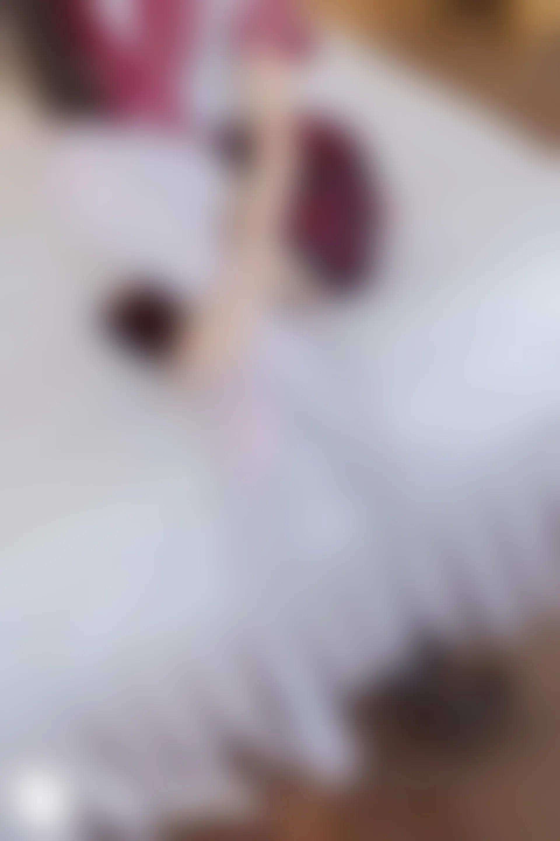 C33.003 红格裙 [39P-73MB]