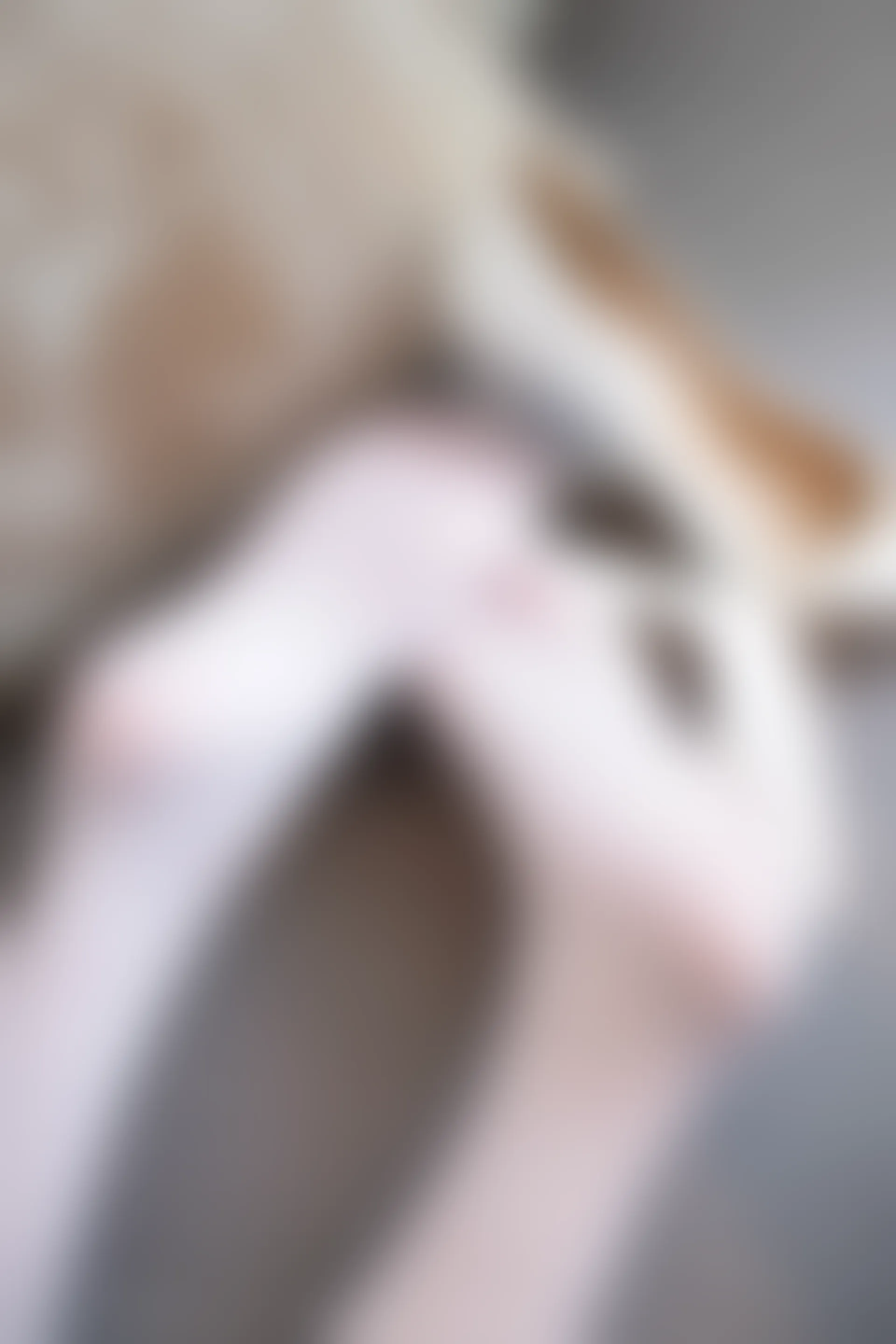 XIUREN秀人网 2023.07.25 NO.7135 杨晨晨Yome[84+1P／667MB]