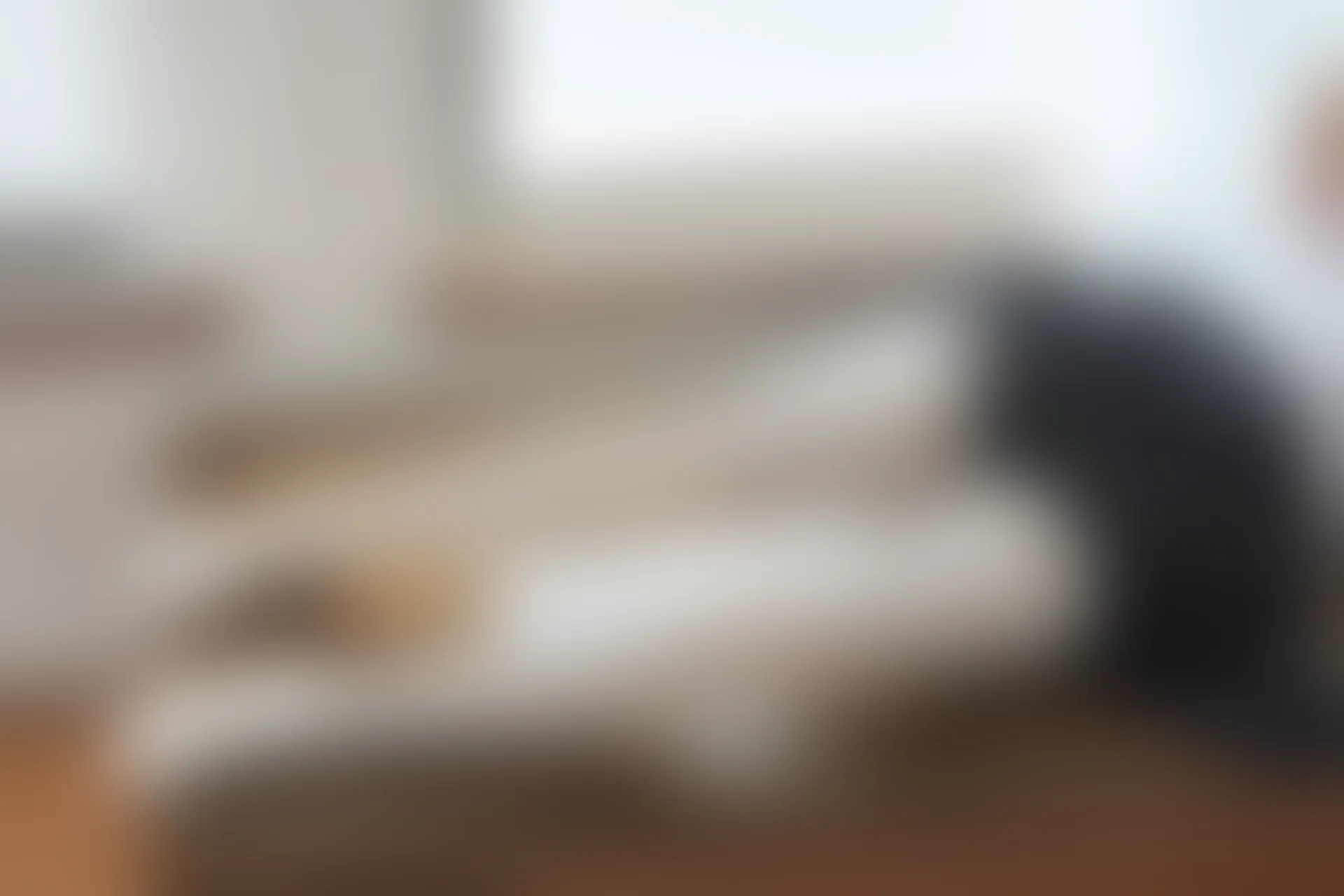 森萝财团 BETA-028 [60P-576M]白丝, 美腿