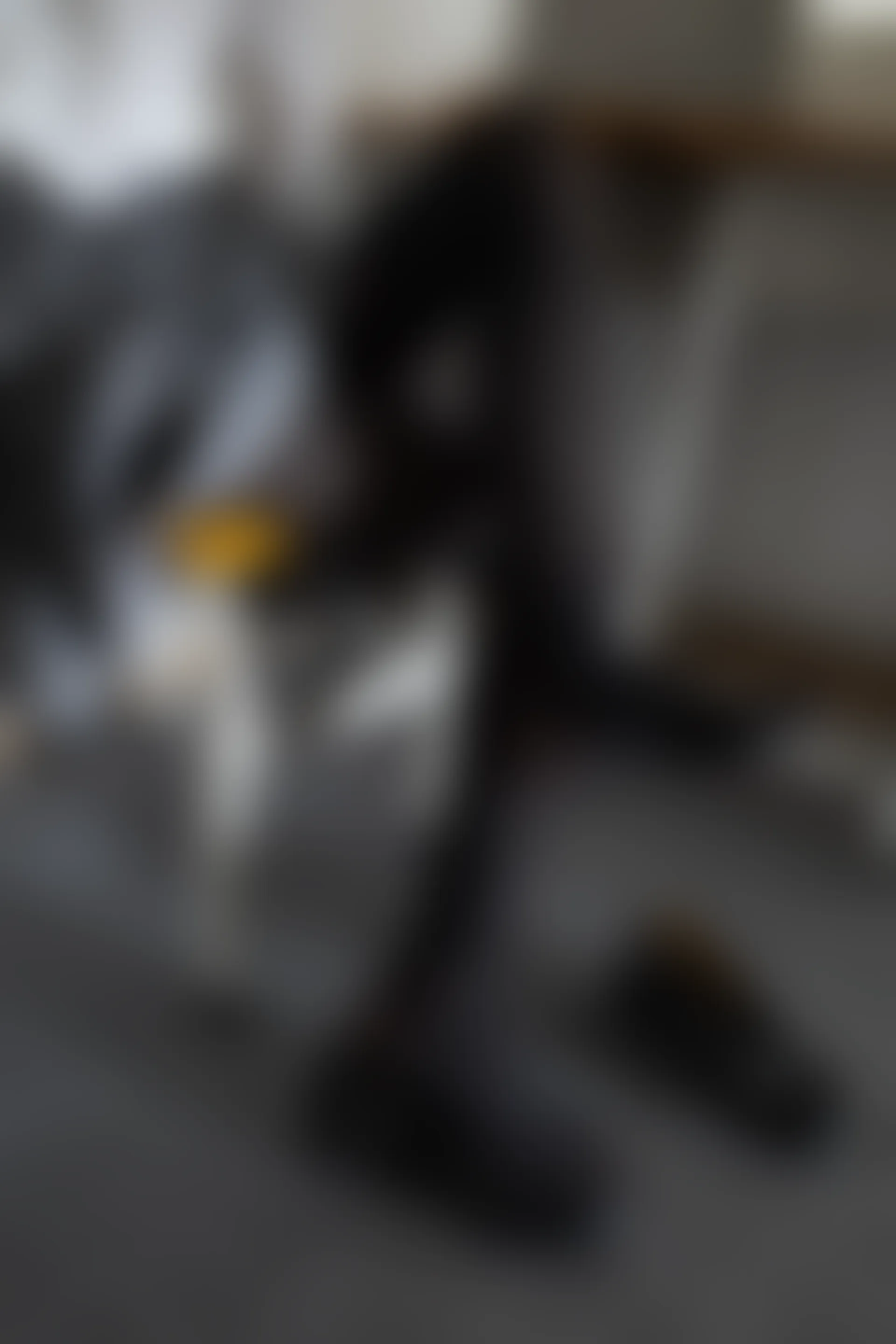 森萝财团 内部-007 教室双马尾黑丝JK学妹 [129P1V-2.56GB]