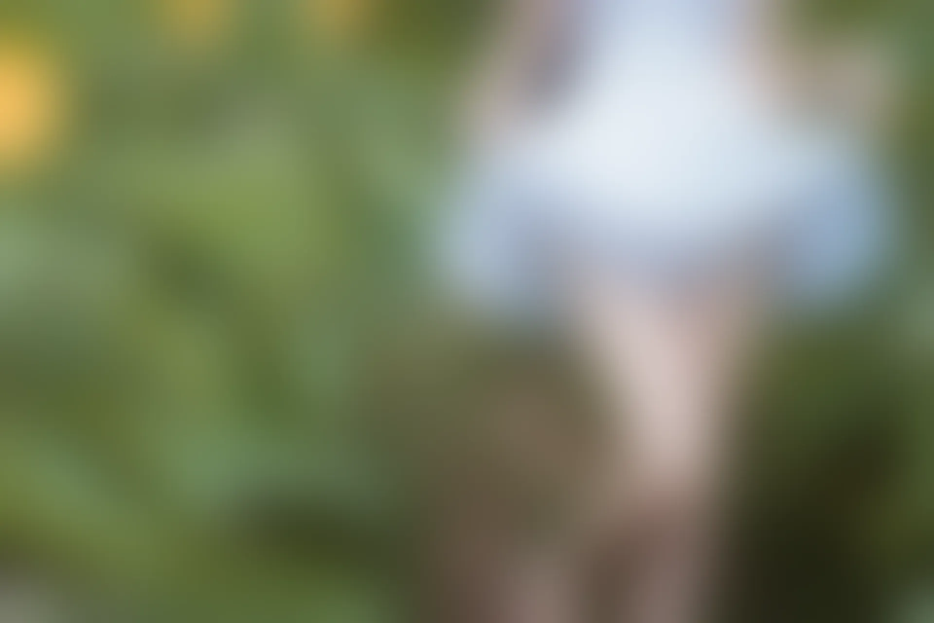 C26.005 花田里的黑猫妹妹 [39P-561MB]