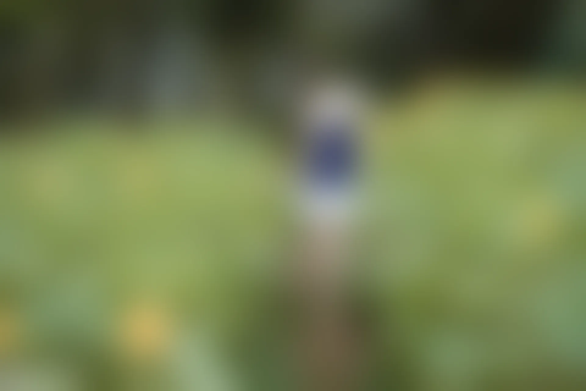 C26.005 花田里的黑猫妹妹 [39P-561MB]