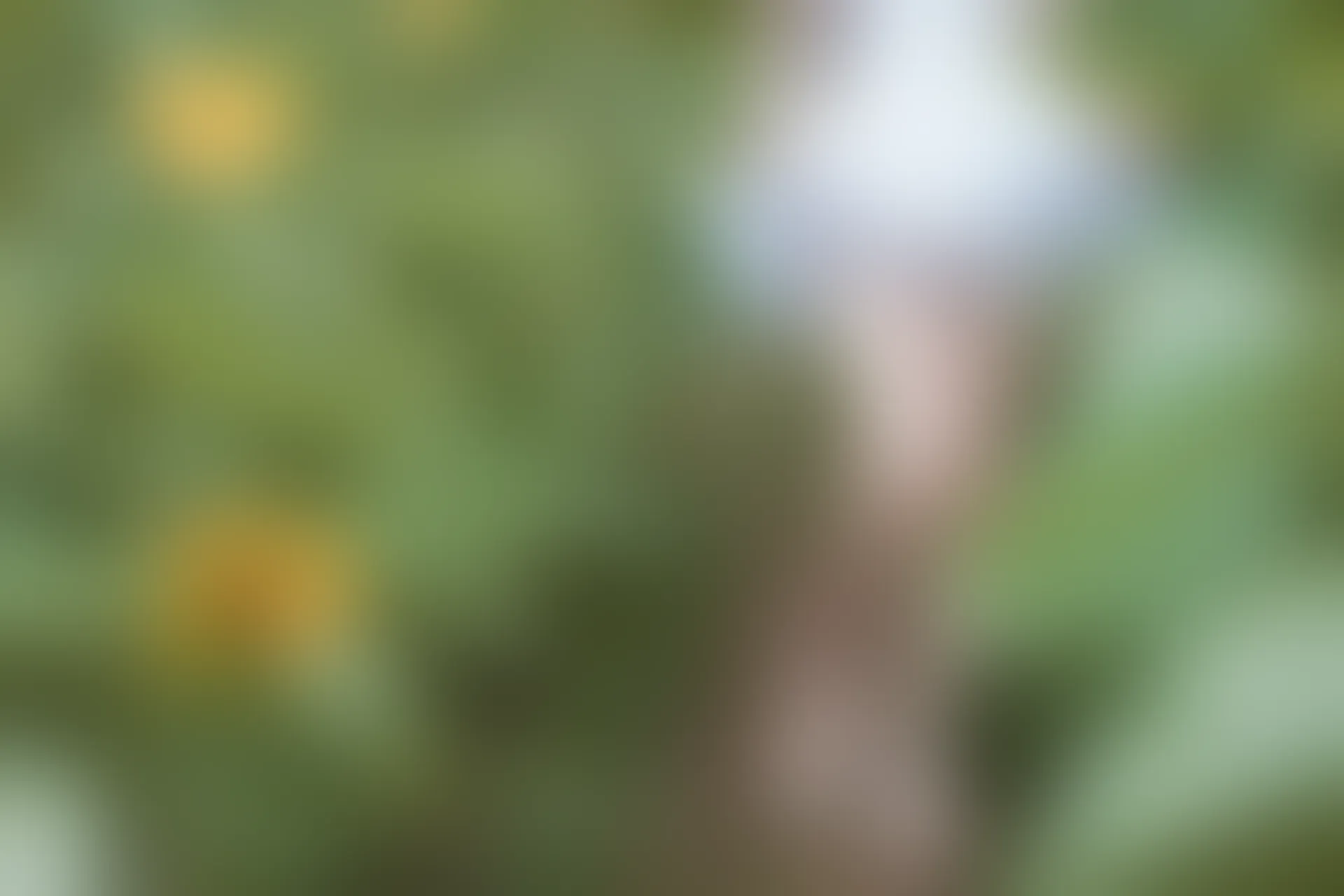 C26.005 花田里的黑猫妹妹 [39P-561MB]