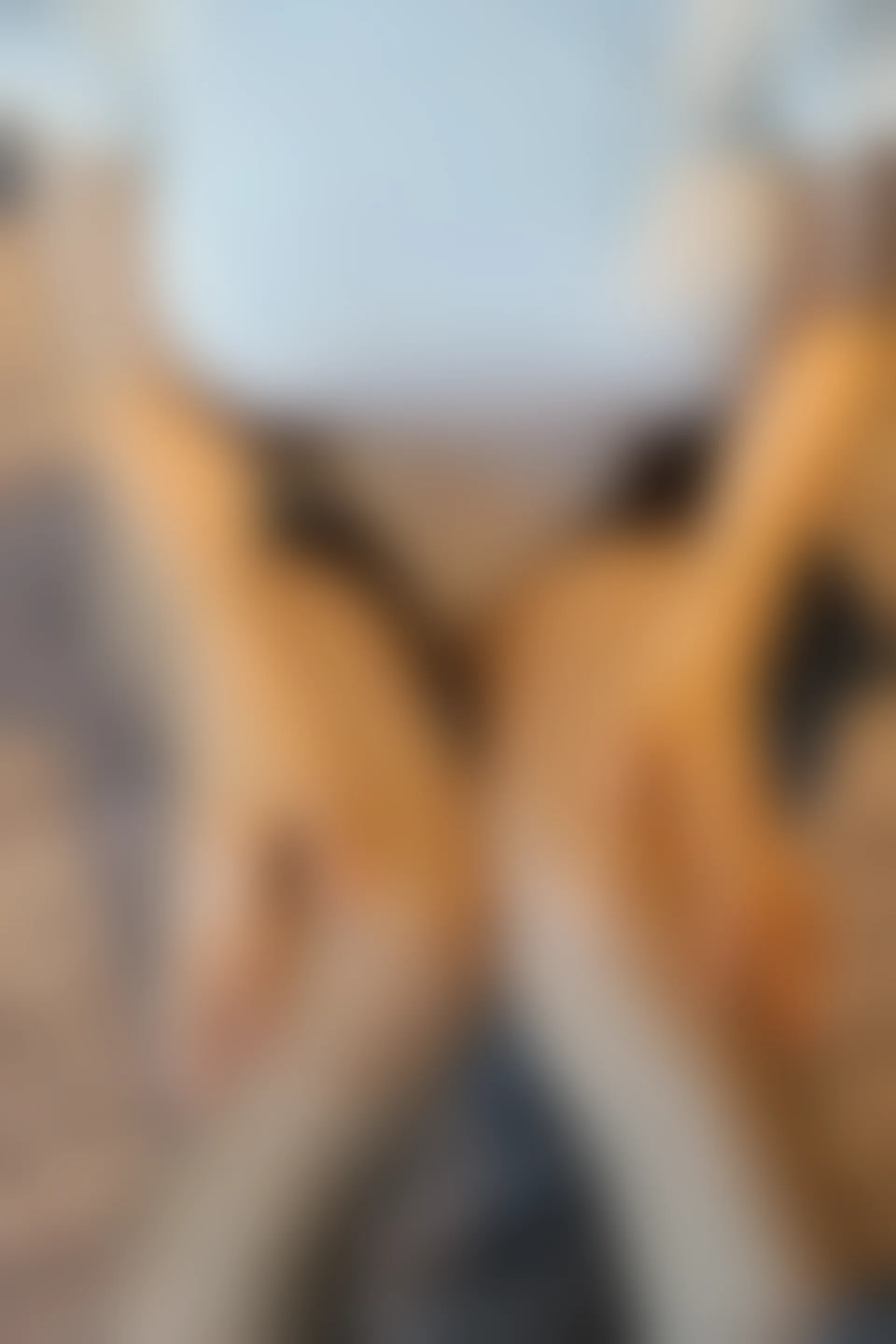 XiuRen秀人网 2022.01.19 No.4481 月音瞳 性感美腿[94+1P 971MB]