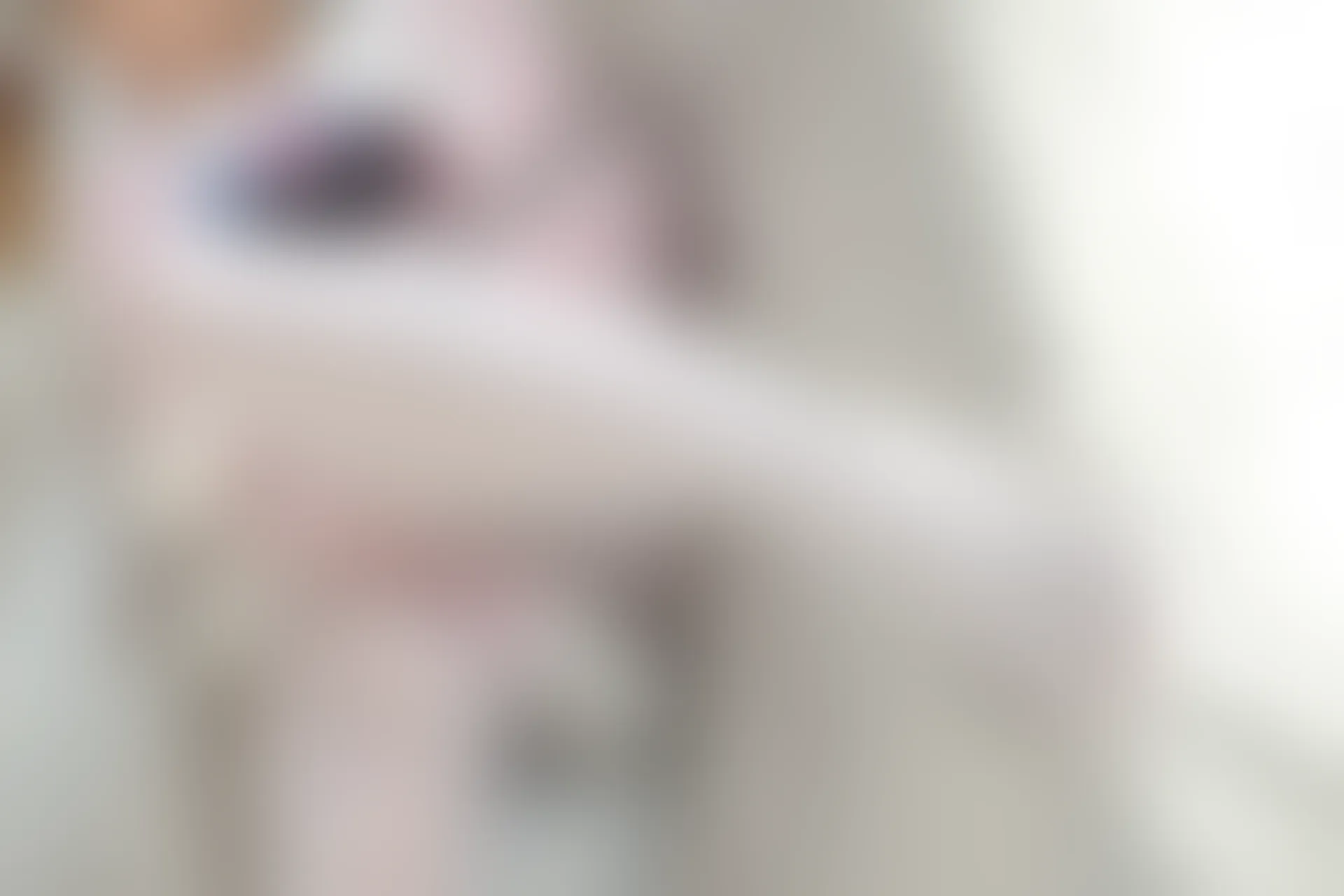森萝财团 X-009 [120P1V-1.49G]可爱, 森萝财团, 白丝, 美腿, 美足