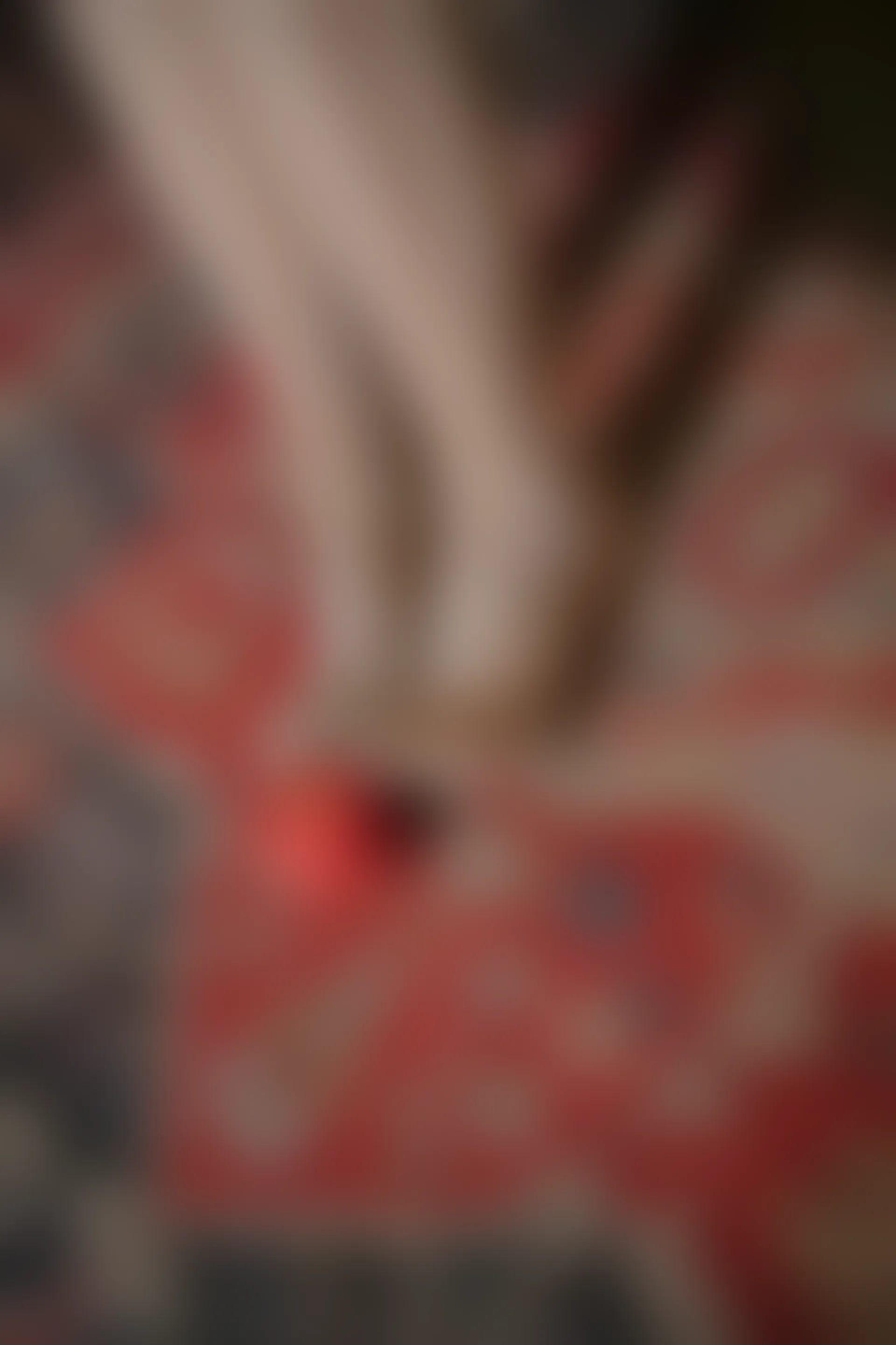 XIUREN秀人网 2023.12.22 NO.7850 Carol周妍希[78+1P／877MB]