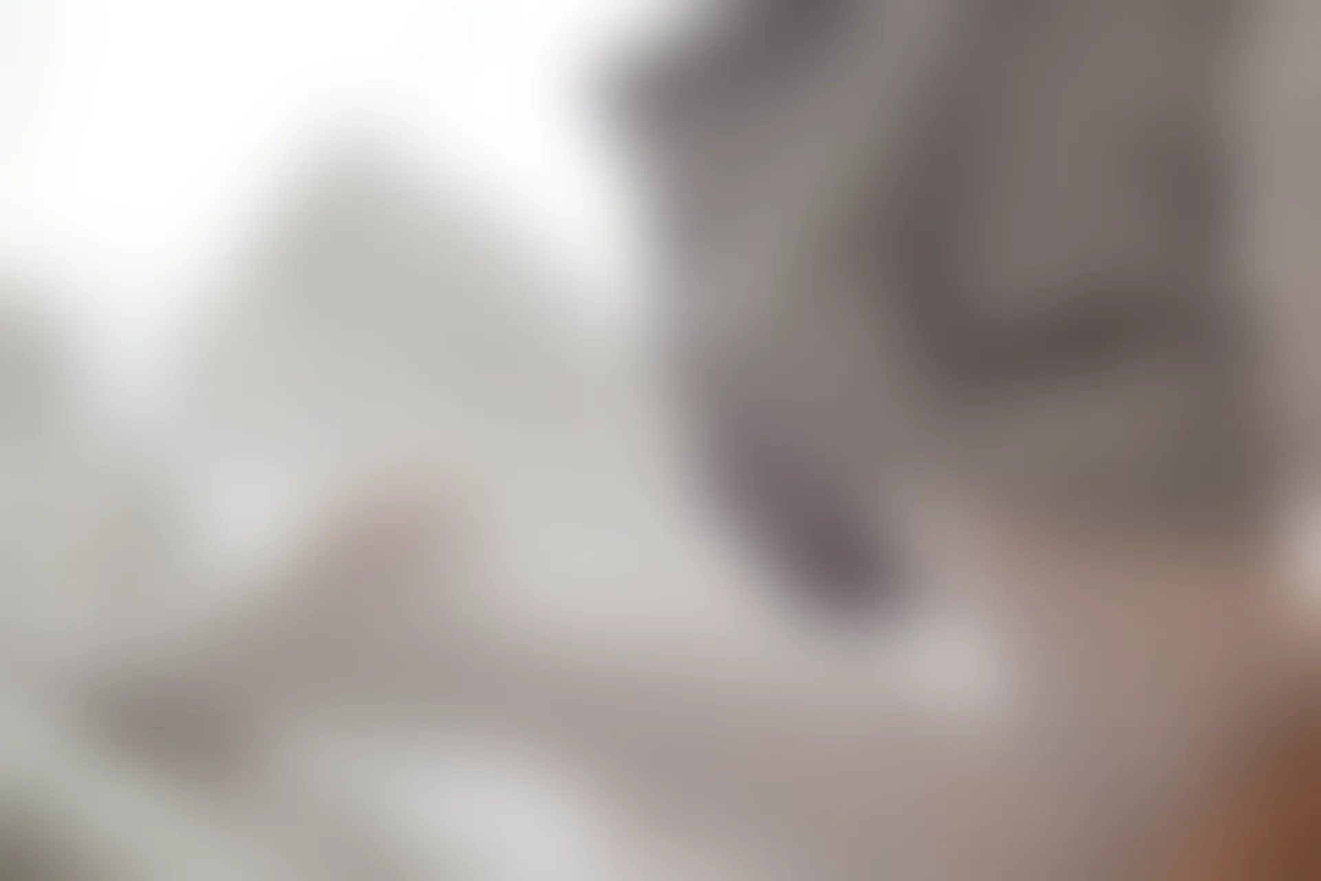 森萝财团 R15-045 [109P-525M]学生装, 森萝财团, 白丝, 美腿