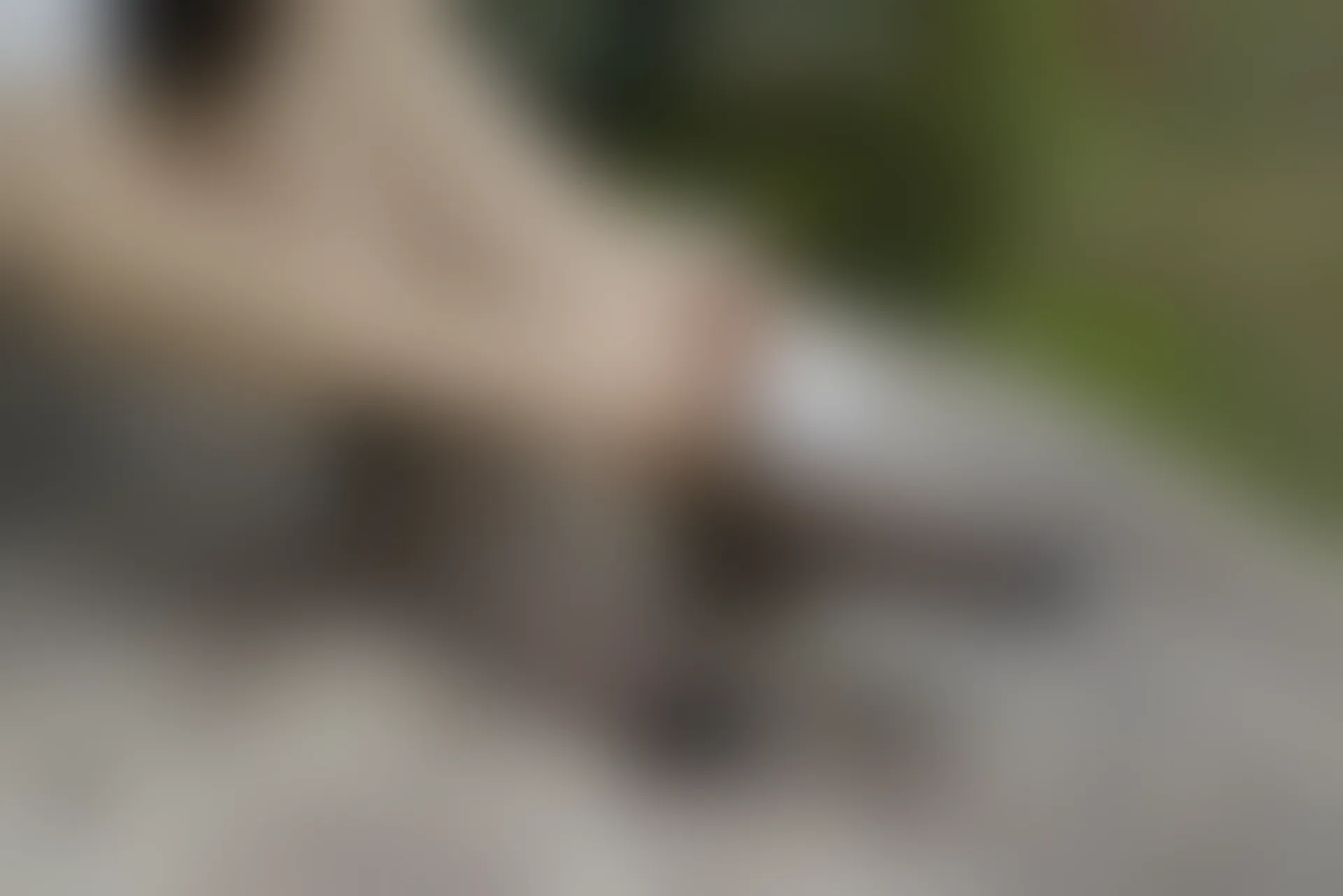 初夏女神 NO.076 十一 周末丛林 JK套搭配的袜子遭嫌弃[153P+1V／6.08GB]