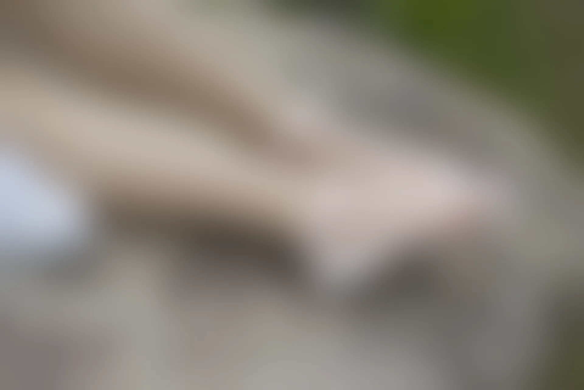 初夏女神 NO.076 十一 周末丛林 JK套搭配的袜子遭嫌弃[153P+1V／6.08GB]