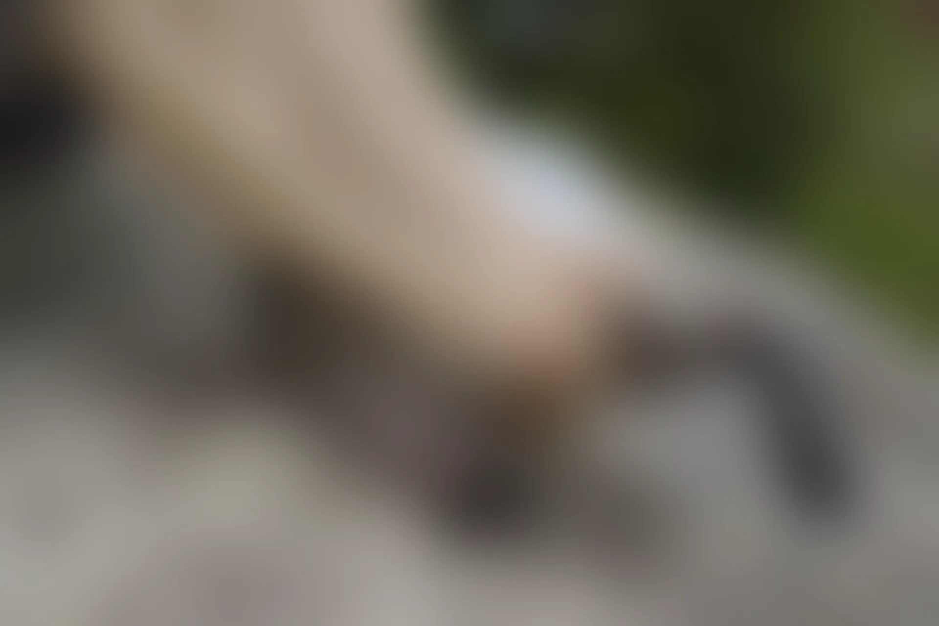 初夏女神 NO.076 十一 周末丛林 JK套搭配的袜子遭嫌弃[153P+1V／6.08GB]