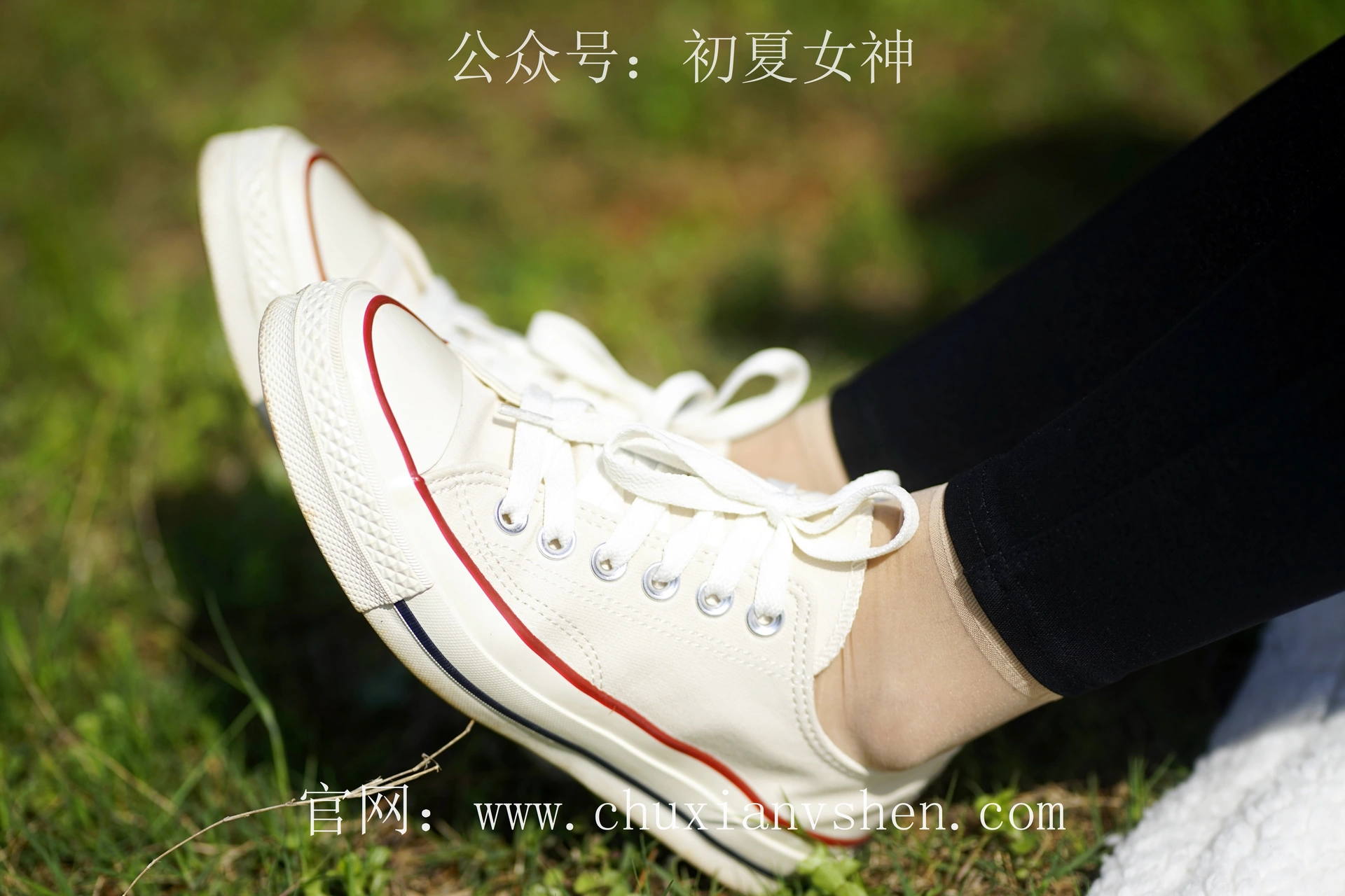 初夏女神 NO.073 依依 邻家女孩-学习篇[140P+1V／6.12GB]
