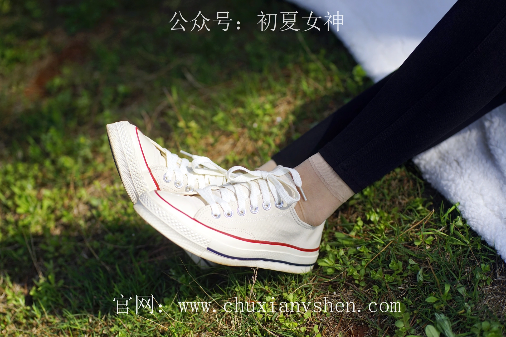 初夏女神 NO.073 依依 邻家女孩-学习篇[140P+1V／6.12GB]