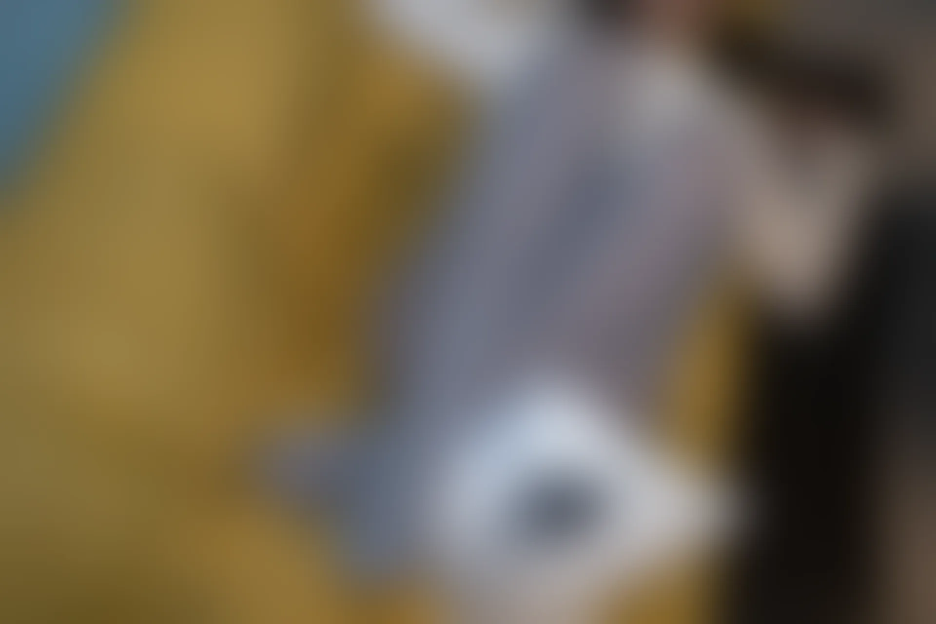 森萝财团 随拍-02 [92P-1.14G]可爱, 居家服, 有料, 森萝财团, 灰丝, 美腿, 美足, 随拍