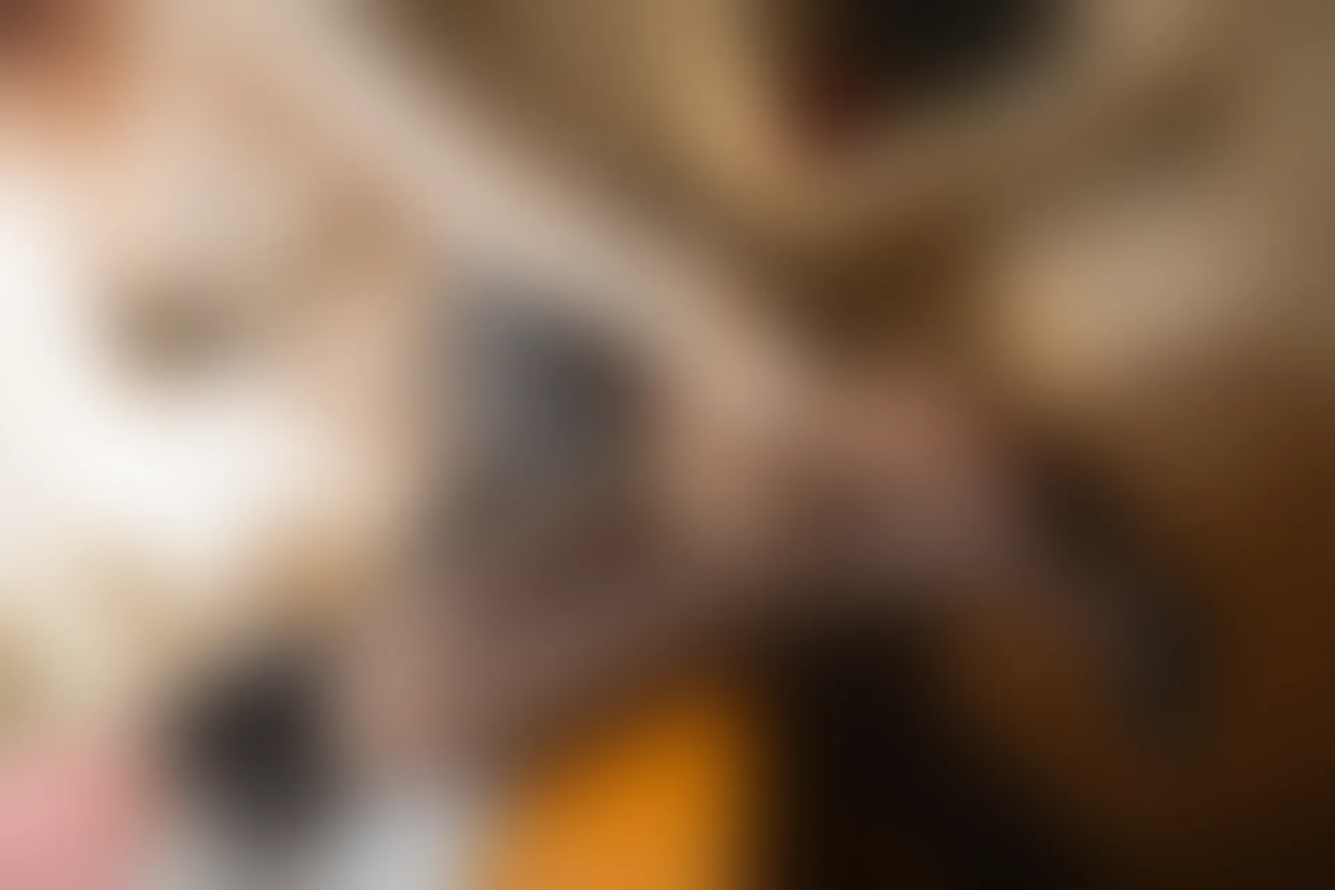 XiuRen秀人网 2020.05.18 No.2254 就是阿朱啊[107+1P216M]