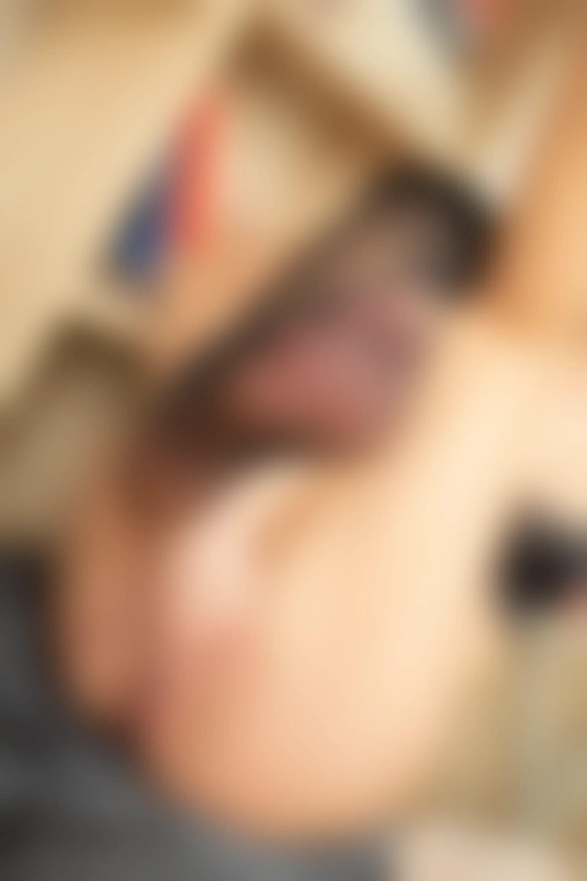 XiuRen秀人网 2020.05.18 No.2254 就是阿朱啊[107+1P216M]