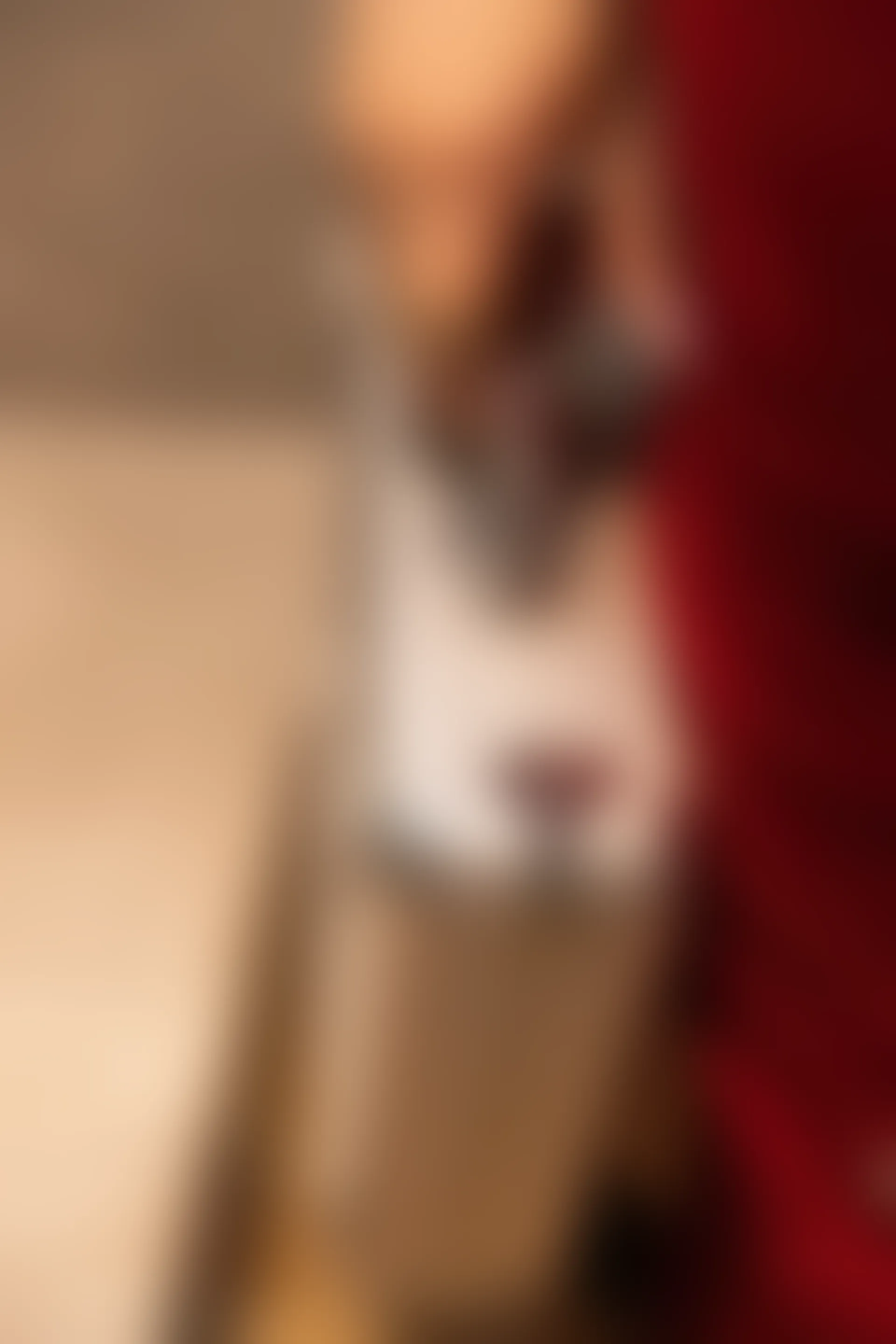 XiuRen秀人网 2022.01.07 No.4434 允爾 三亚旅拍[78+1P 804MB]