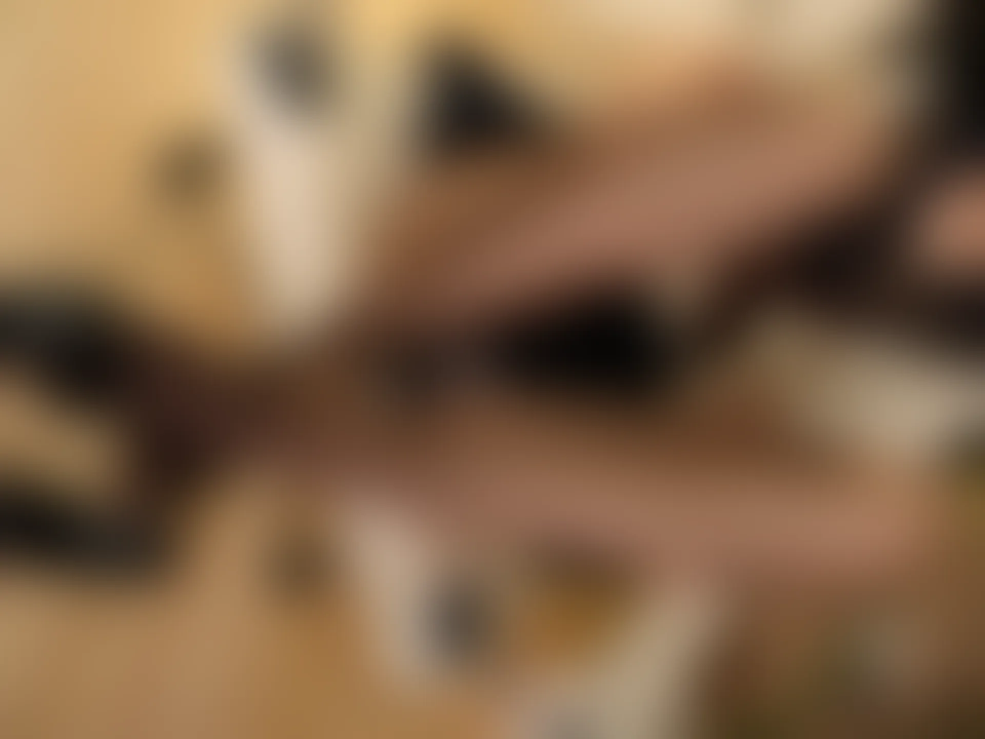 紧急企划 VOL.024 一只喵喵梓 一亿像素 双马尾黑丝JK制服 [67P1V-1.98GB]JK制服, 一只喵喵梓, 双马尾, 紧急企划, 美腿, 美足, 黑丝