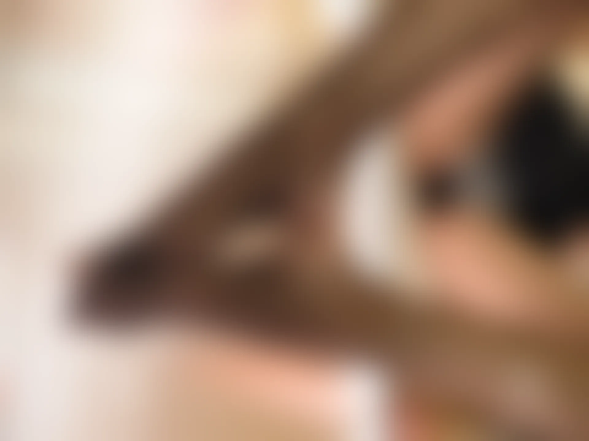 紧急企划 VOL.024 一只喵喵梓 一亿像素 双马尾黑丝JK制服 [67P1V-1.98GB]JK制服, 一只喵喵梓, 双马尾, 紧急企划, 美腿, 美足, 黑丝