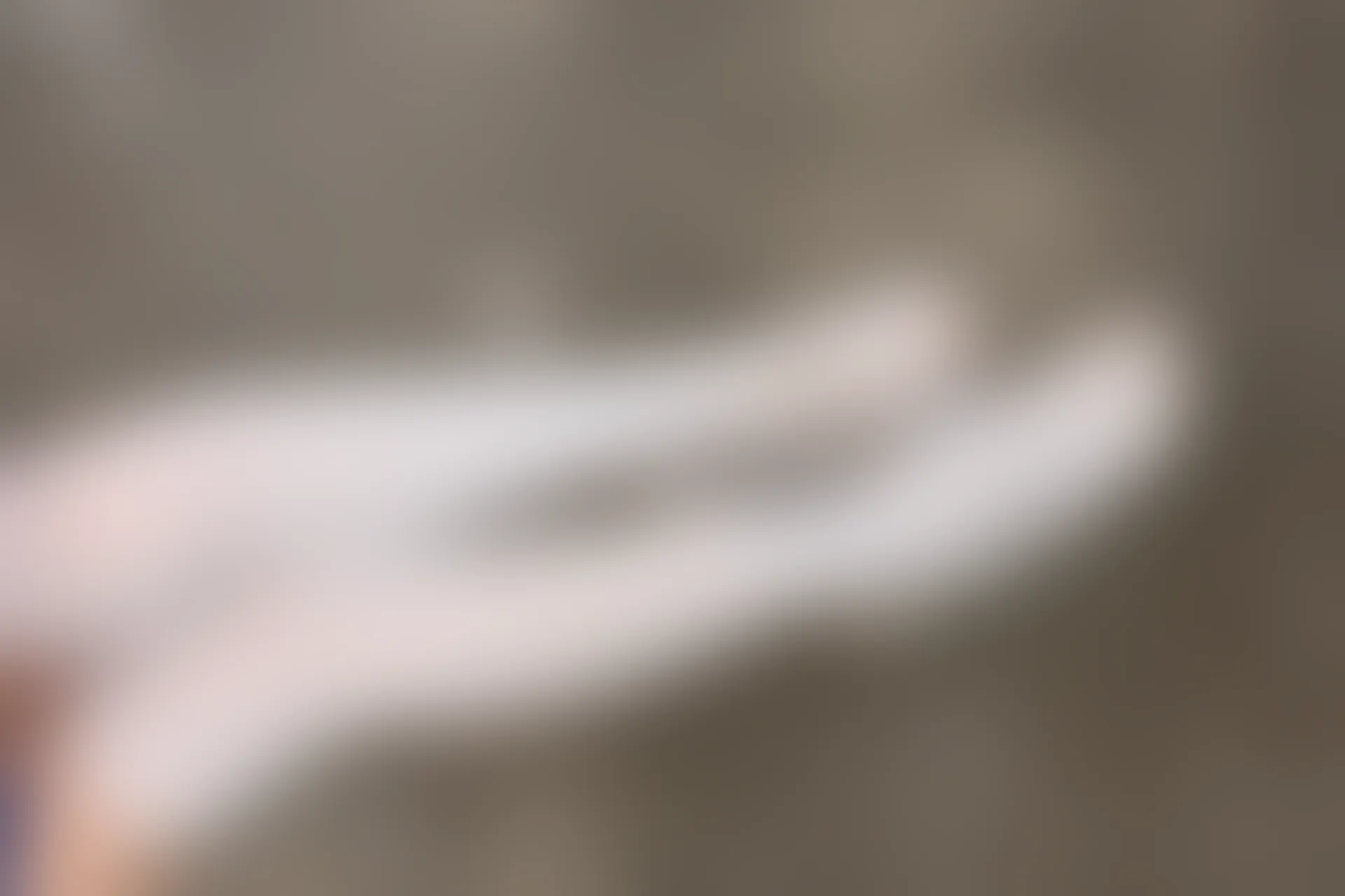 森萝财团 BETA-018 [57P-606M]白丝, 美腿