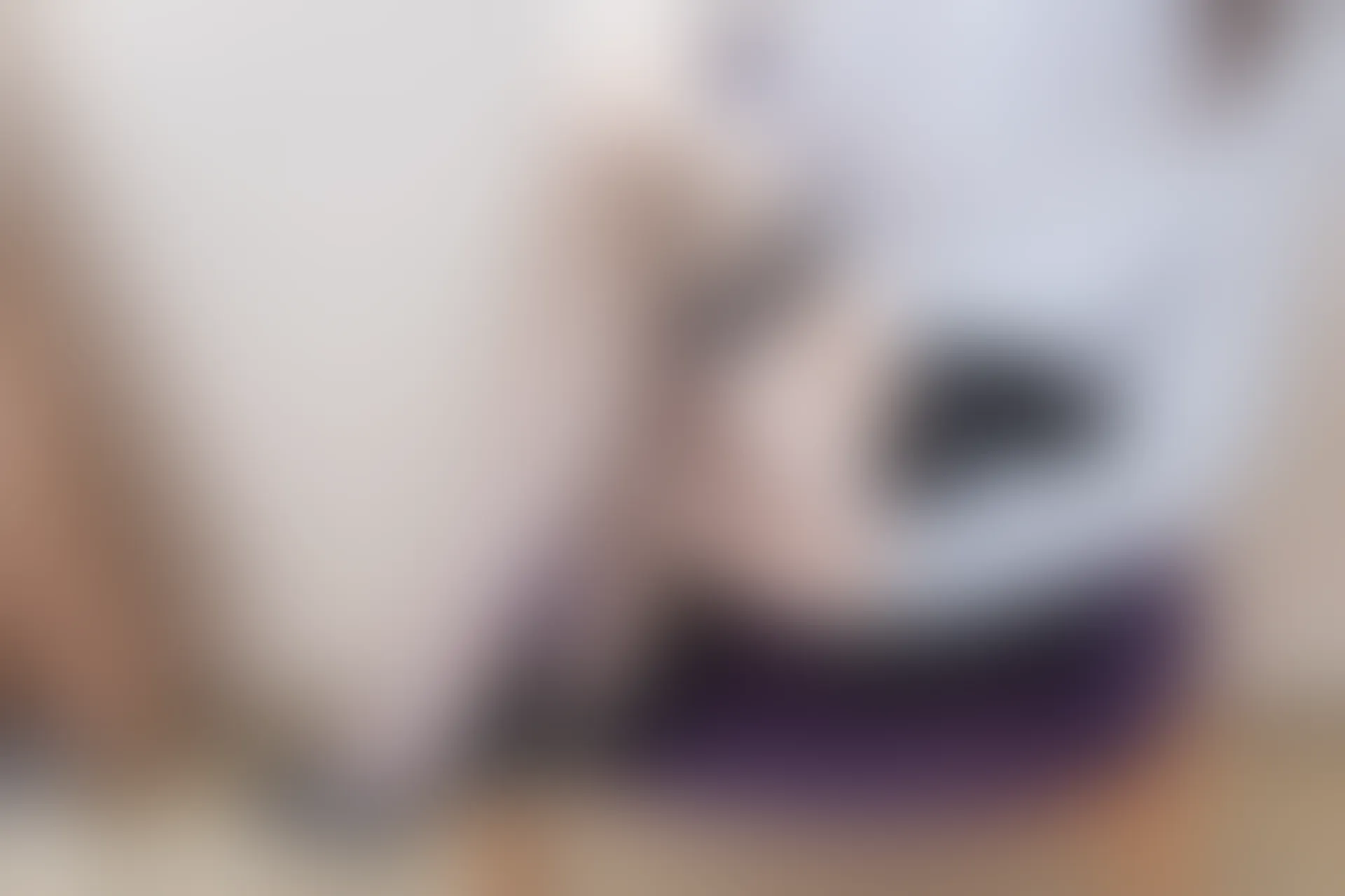 C31.006 网袜ol [40P-86MB]