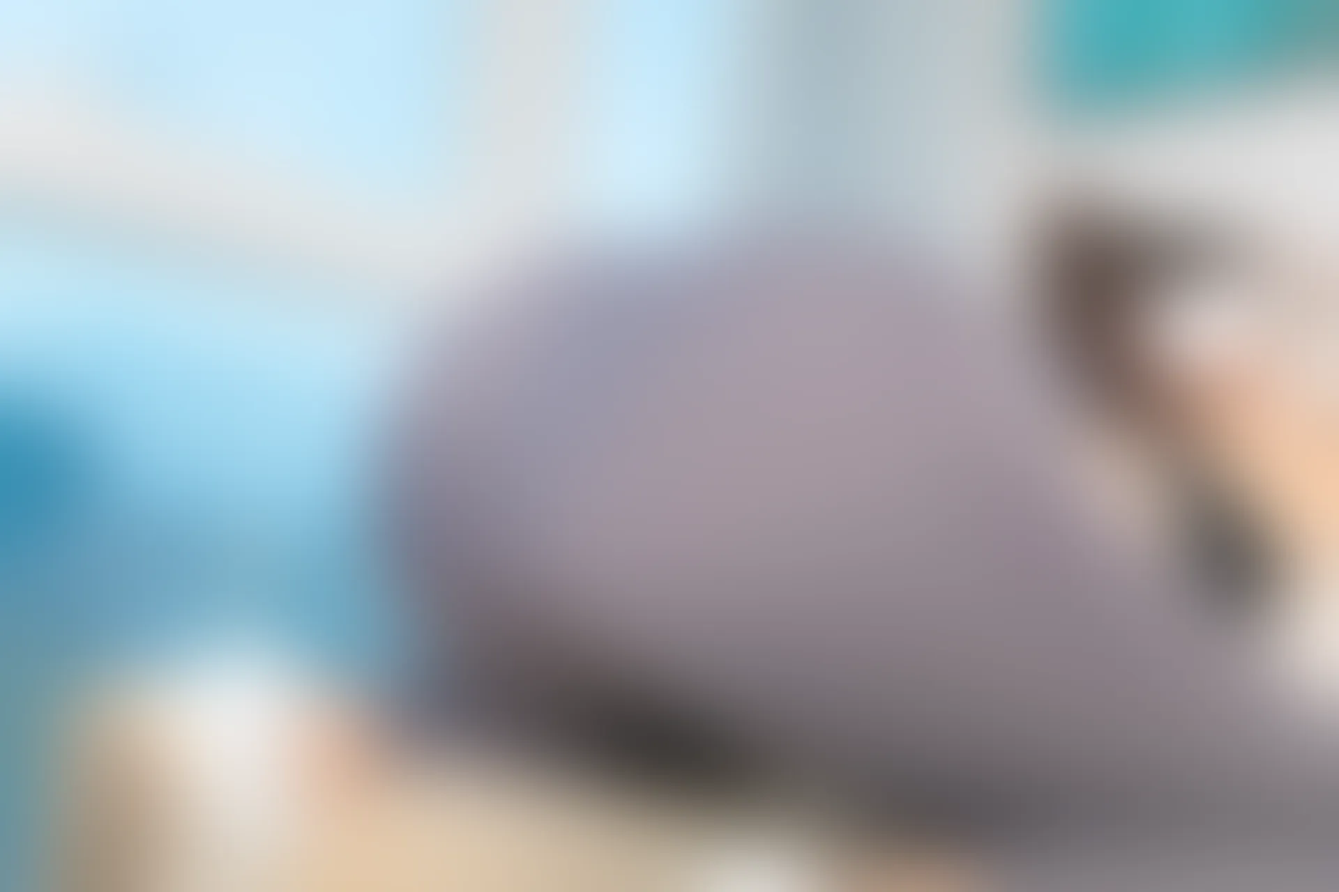 神楽坂真冬 第三季 序号26：健身主题《温度の香り》 [150P2V-620MB]体操服, 内衣, 双马尾, 白丝, 神楽坂真冬, 美腿, 美足, 肉丝