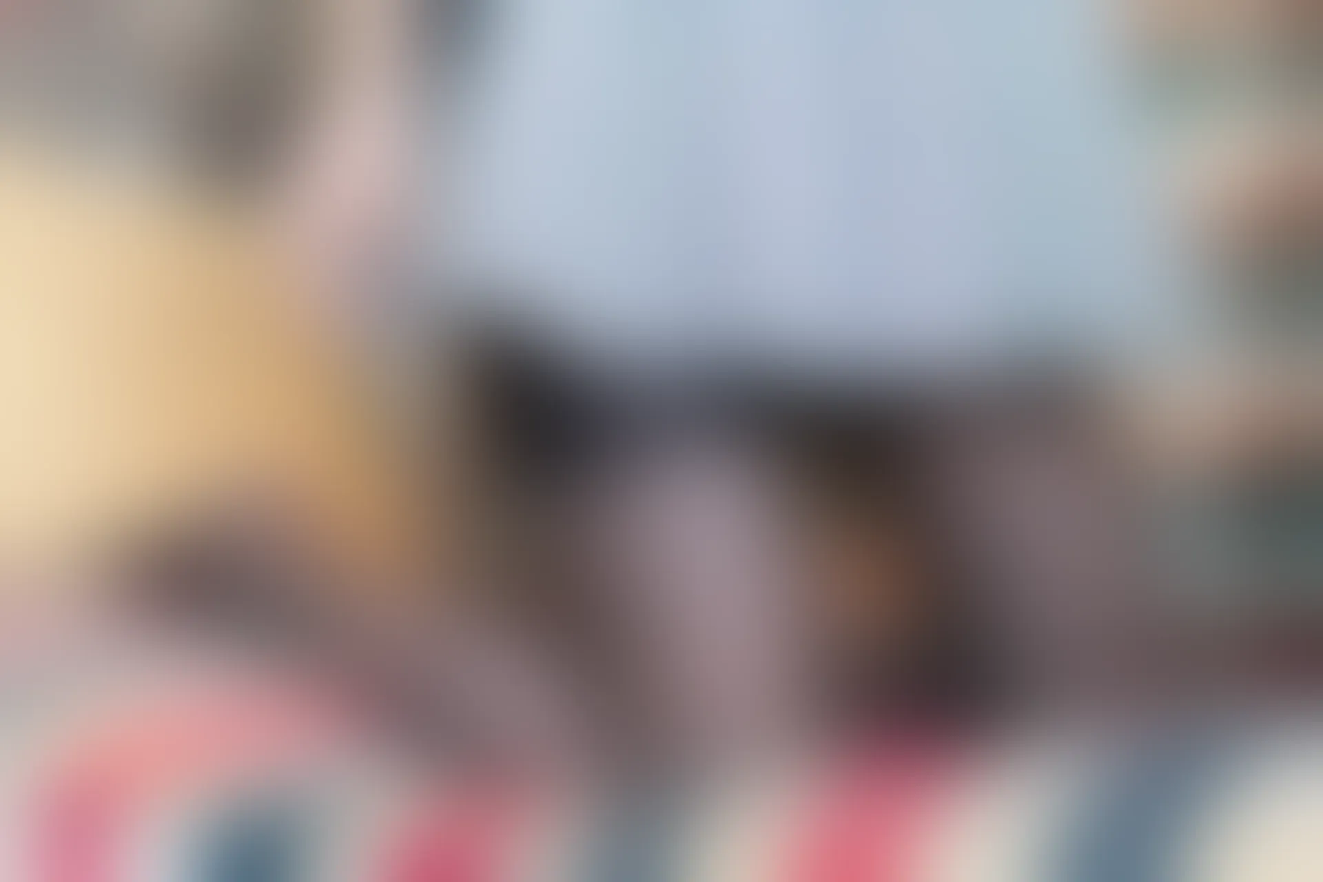 C21.006 酷Girl [41P-361MB]