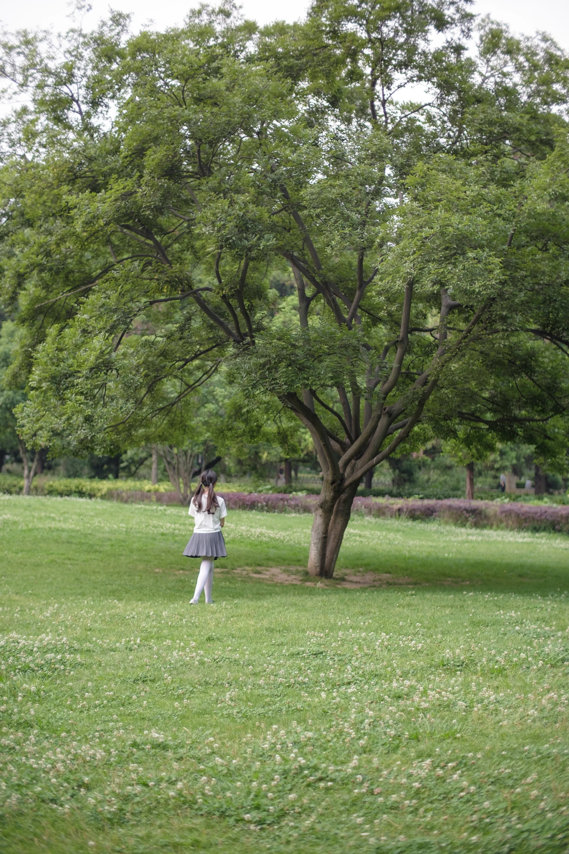 森萝财团 R15-014 [99P-674M]学生装, 森萝财团, 白丝, 美腿, 美足