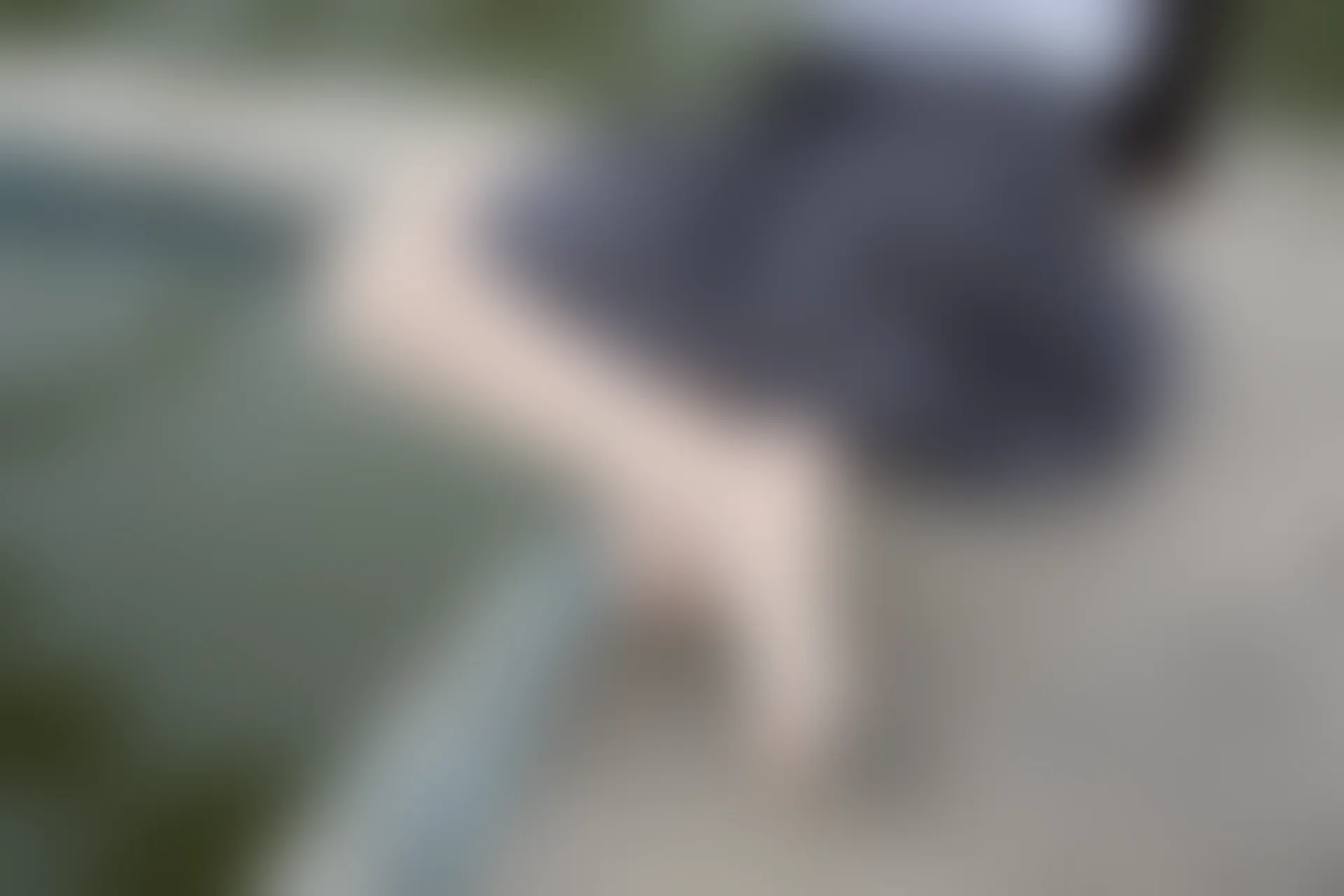 森萝财团 BETA-005 [75P-496M]美腿, 肉丝