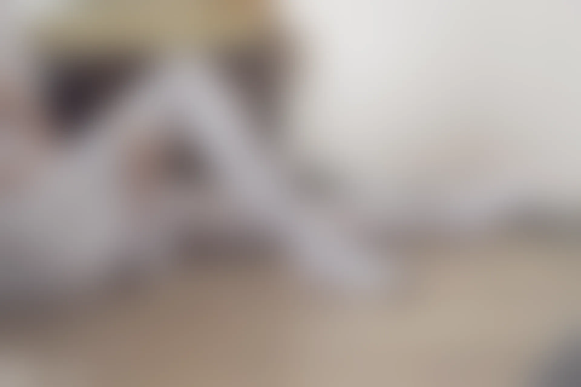 C28.006 阳光和白裙 [40P-56MB]