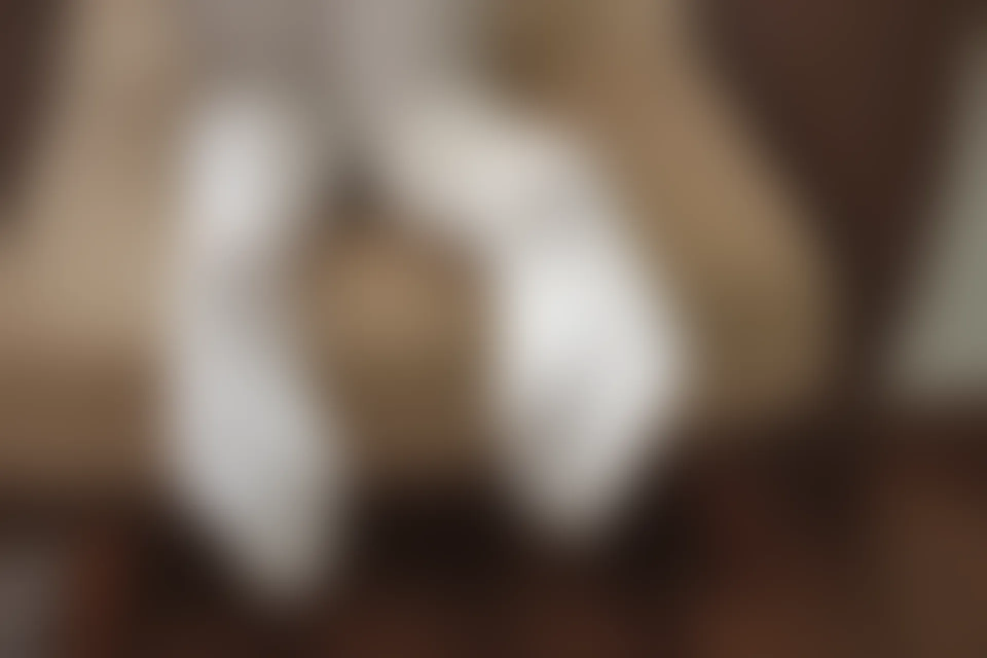 森萝财团 X-034 [83P1V-1.91G]制服, 可爱, 森萝财团, 白丝, 美腿