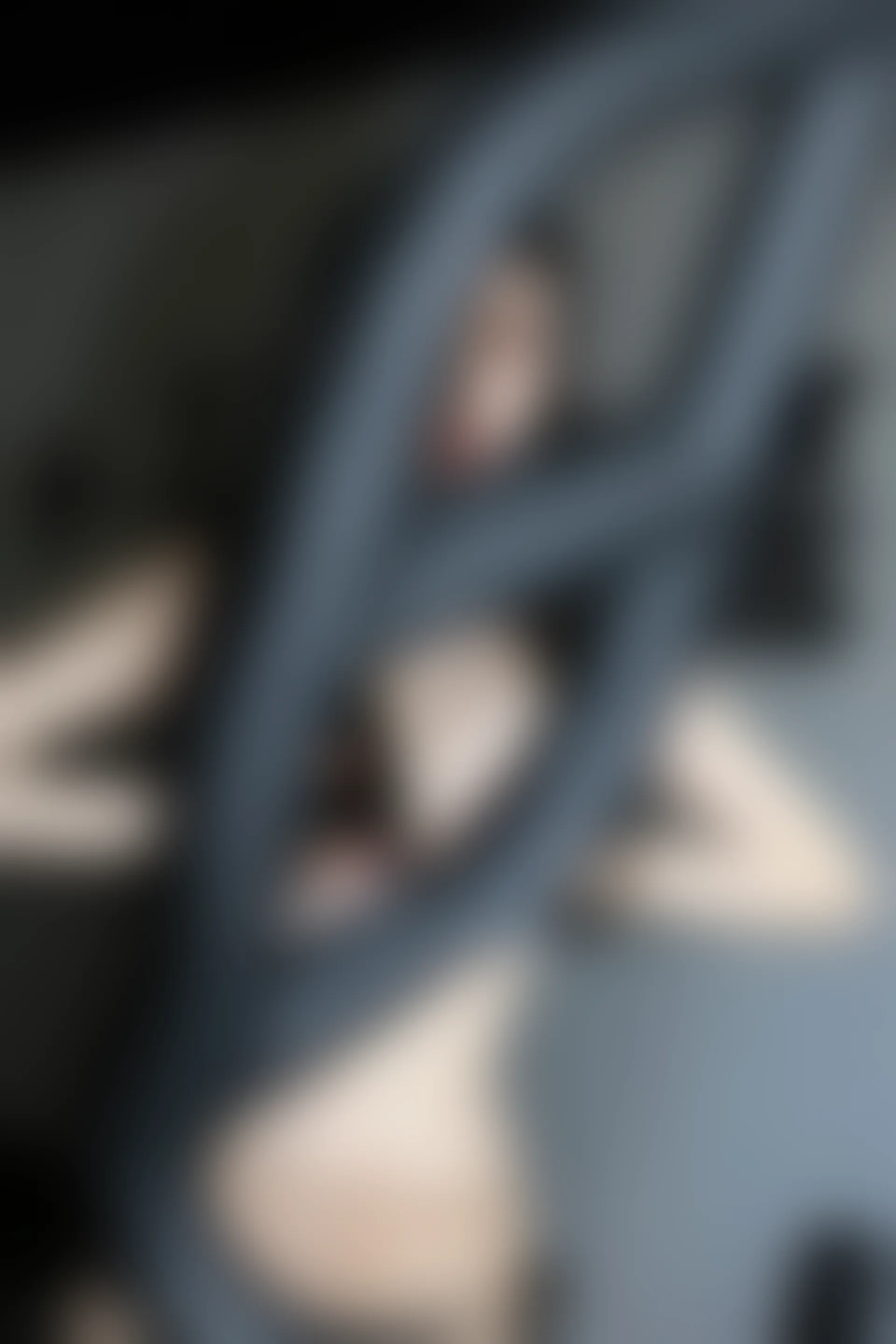 XIUREN秀人网 2023.11.23 NO.7705 田兮白[89+1P／727MB]